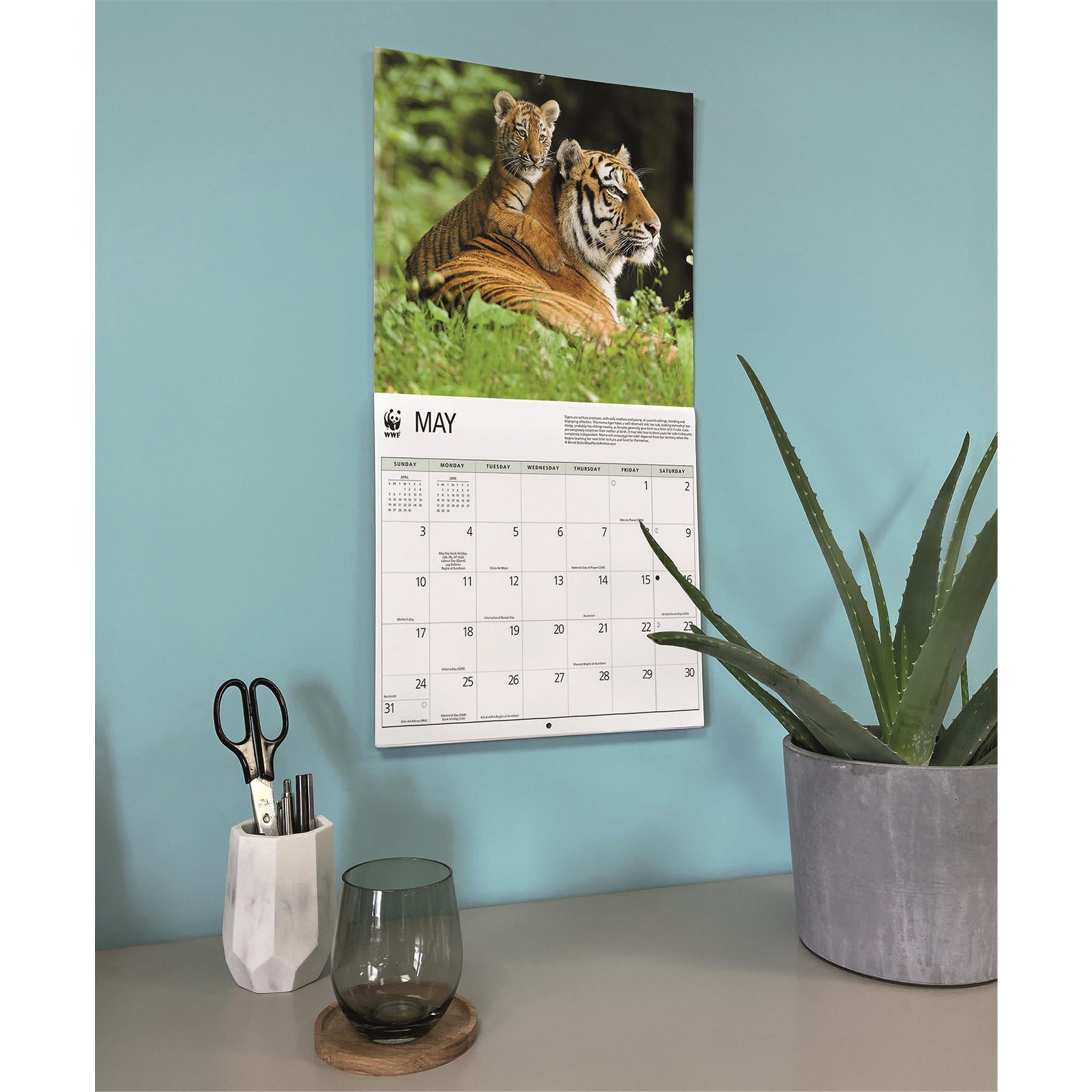World Wildlife Fund Tigers 2026 Wall Calendar