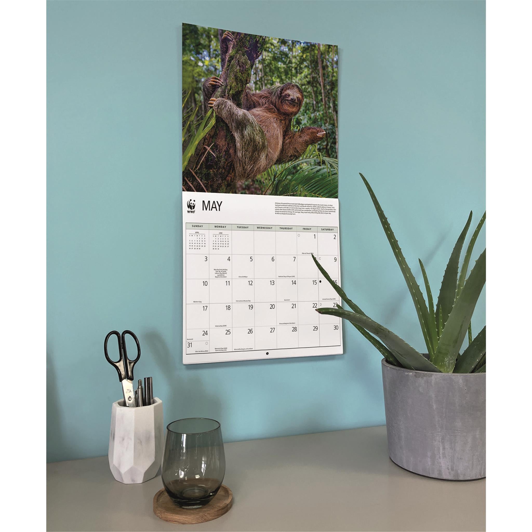 World Wildlife Fund Sloths 2026 Wall Calendar