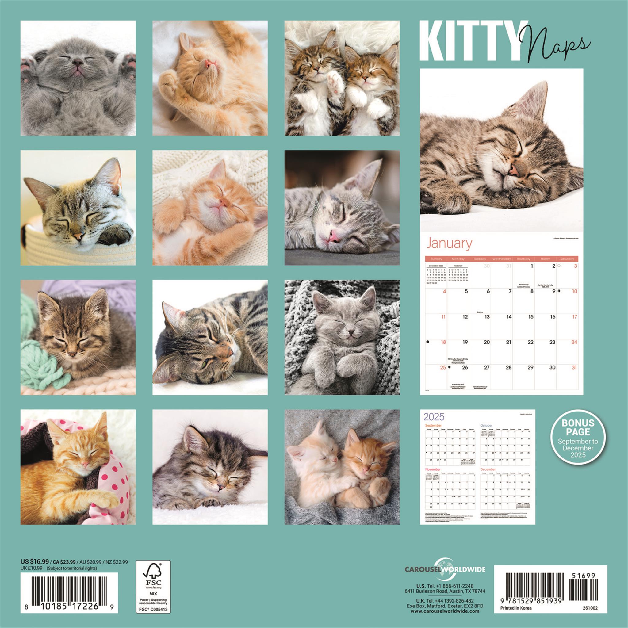 Calendrier mural Kitty Naps 2026