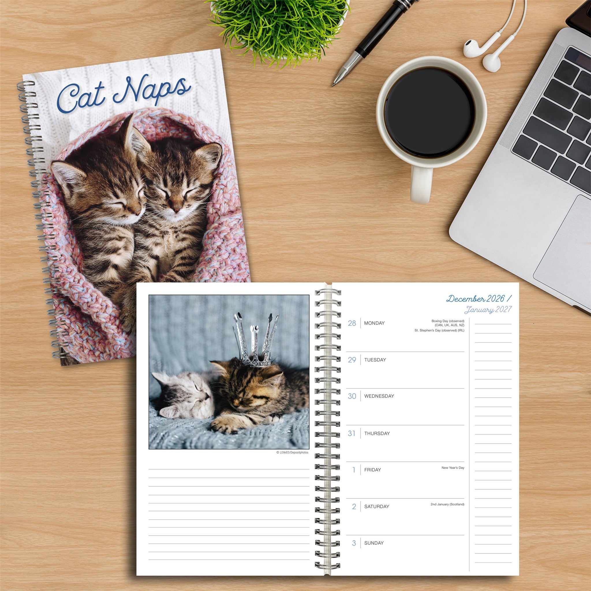 Cat Naps 2027 Engagement Calendar
