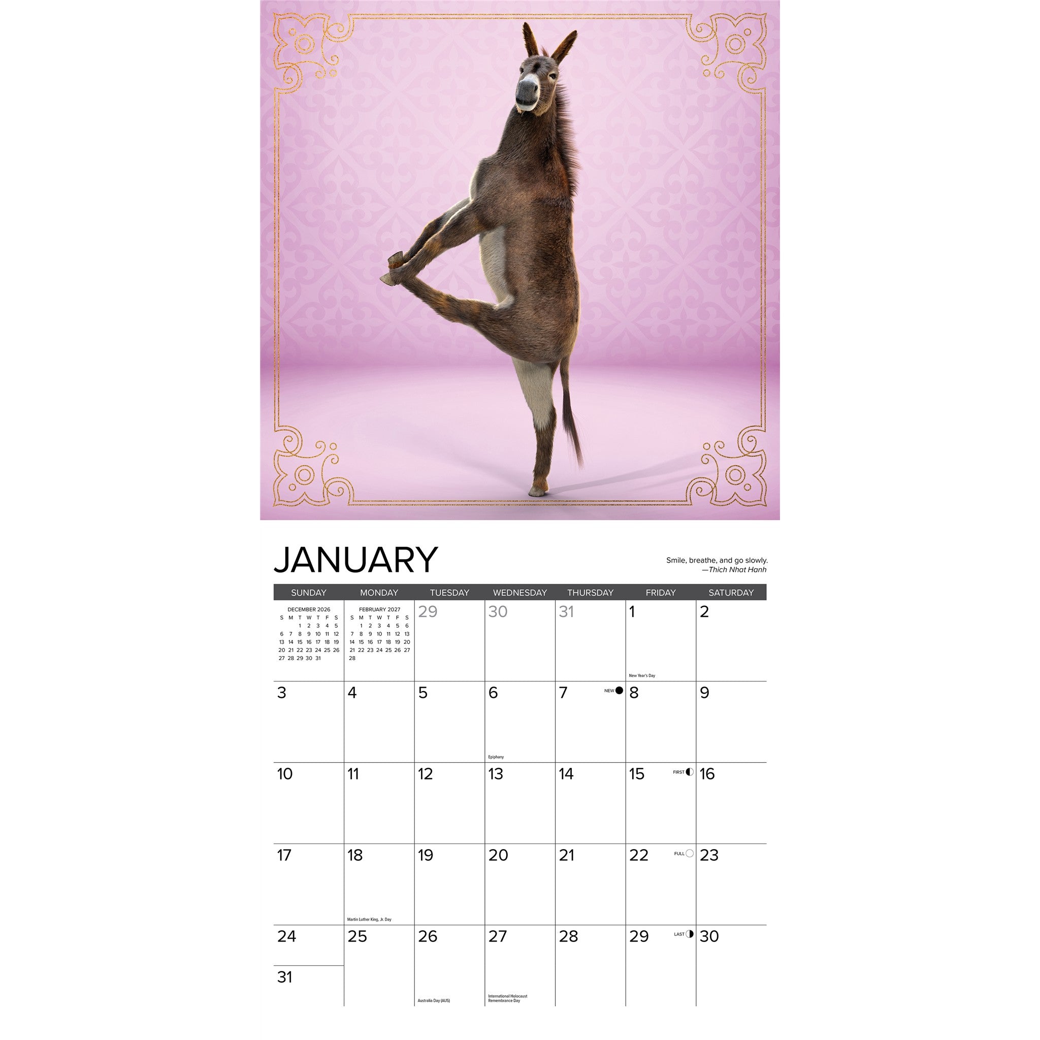 Jackass Yoga 2027 Wall Calendar
