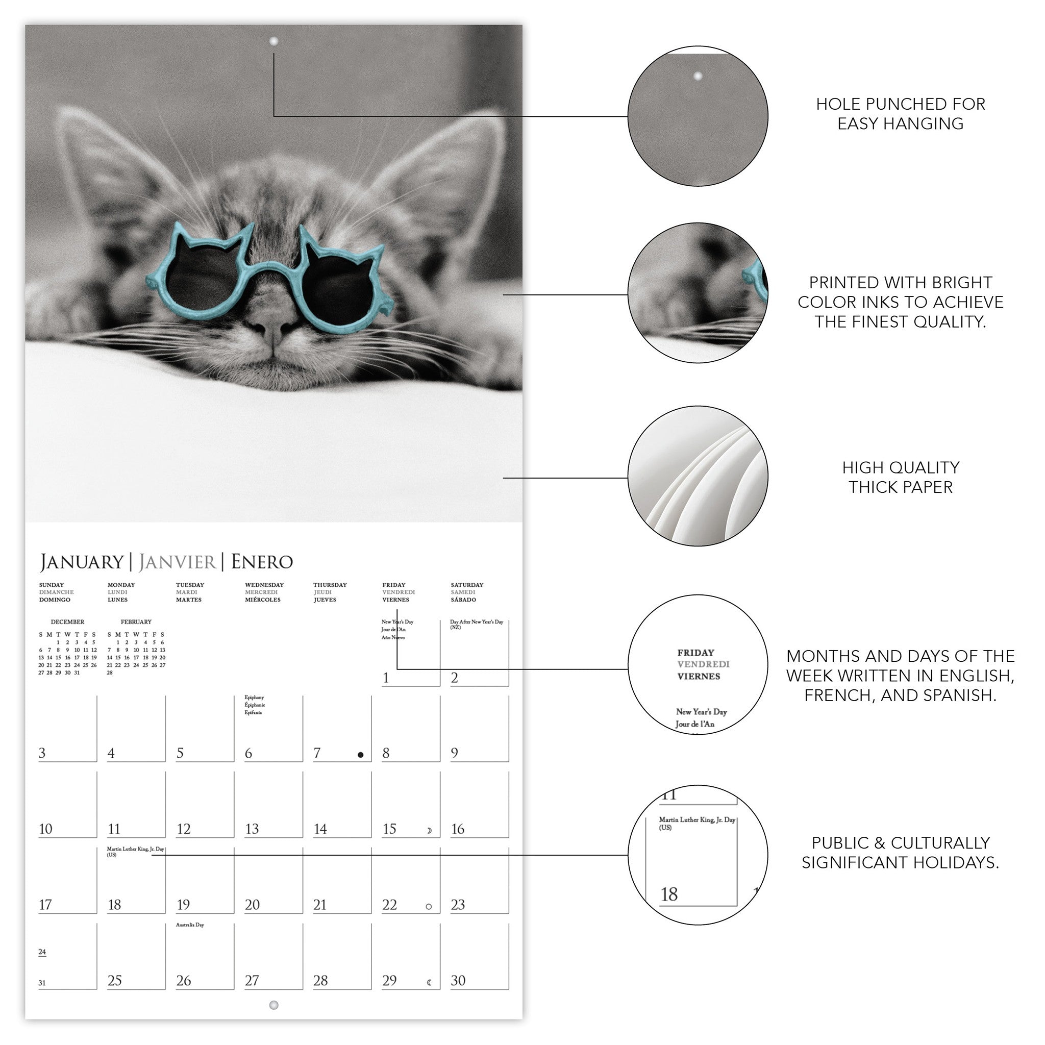 Classic Cats 2027 Mini Calendar