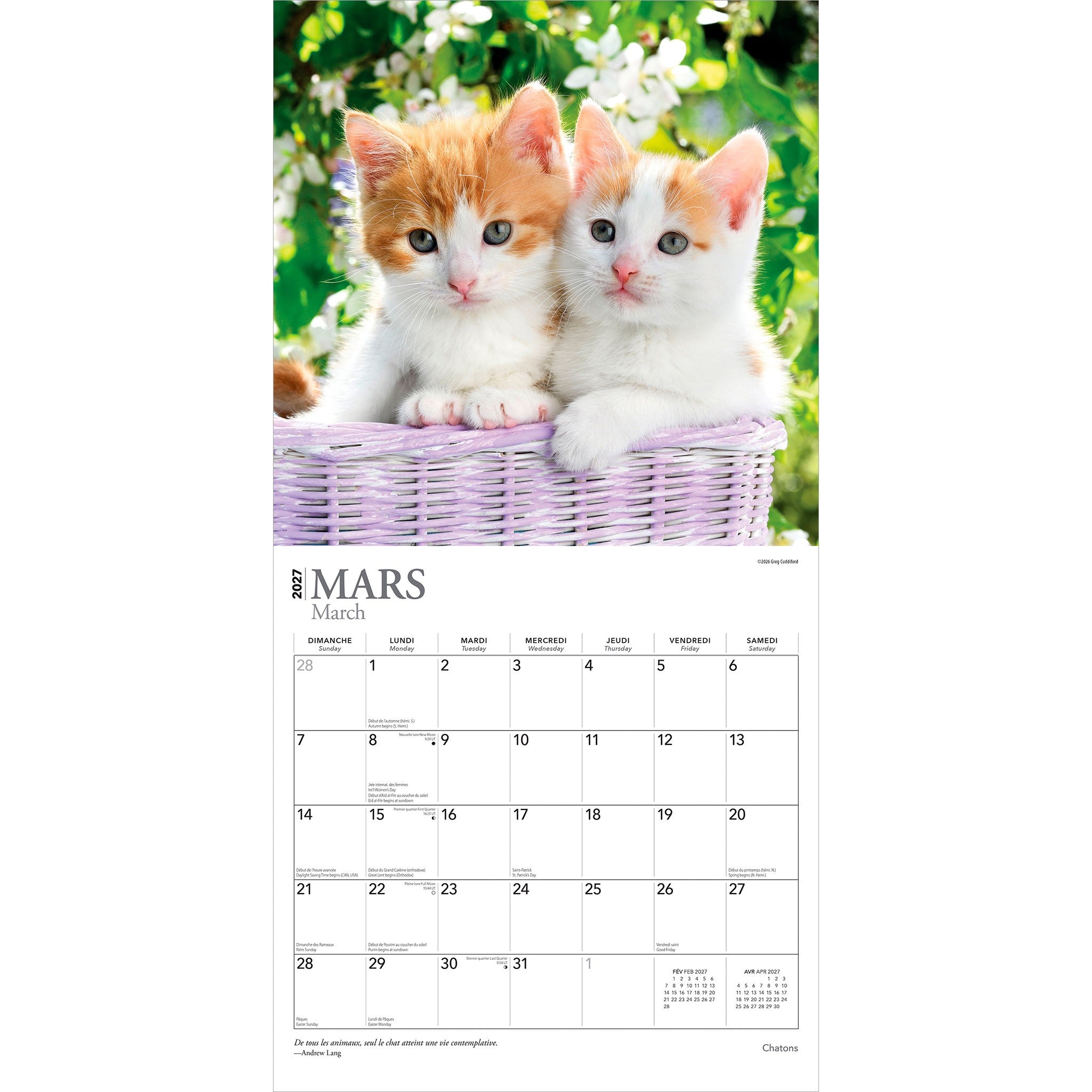 Chatons 2027 Wall Calendar (French)