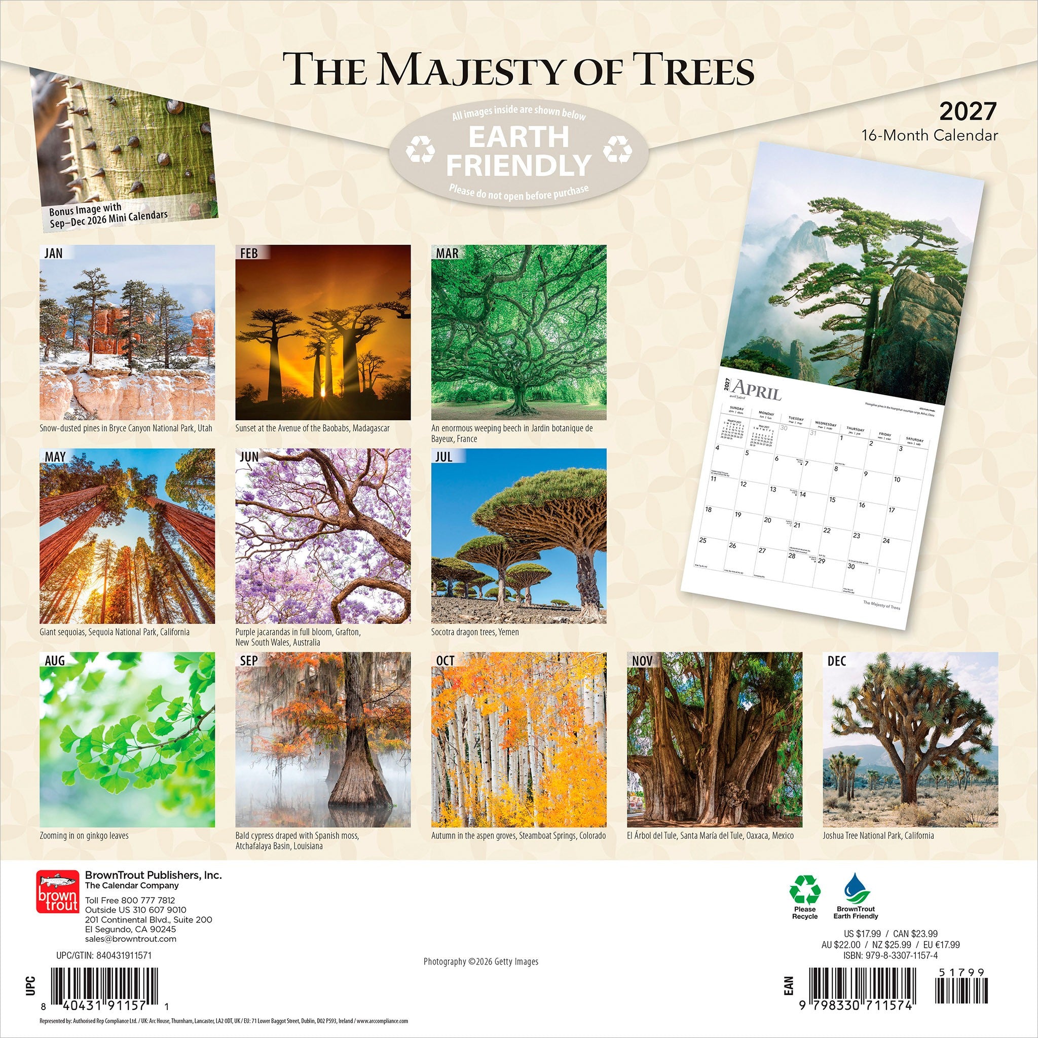 Majesty of Trees 2027 Wall Calendar - Online Only