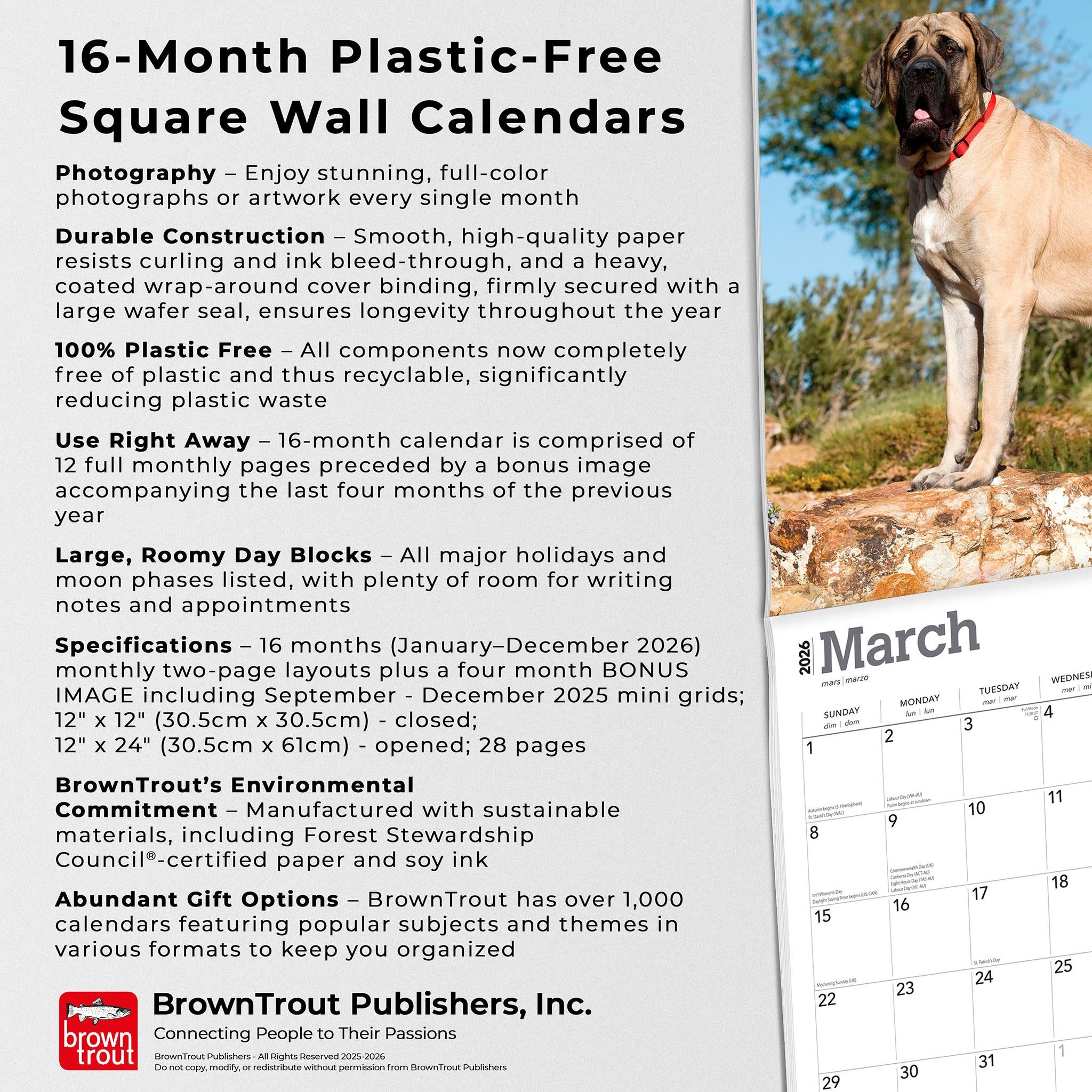 Mastiffs 2026 Wall Calendar