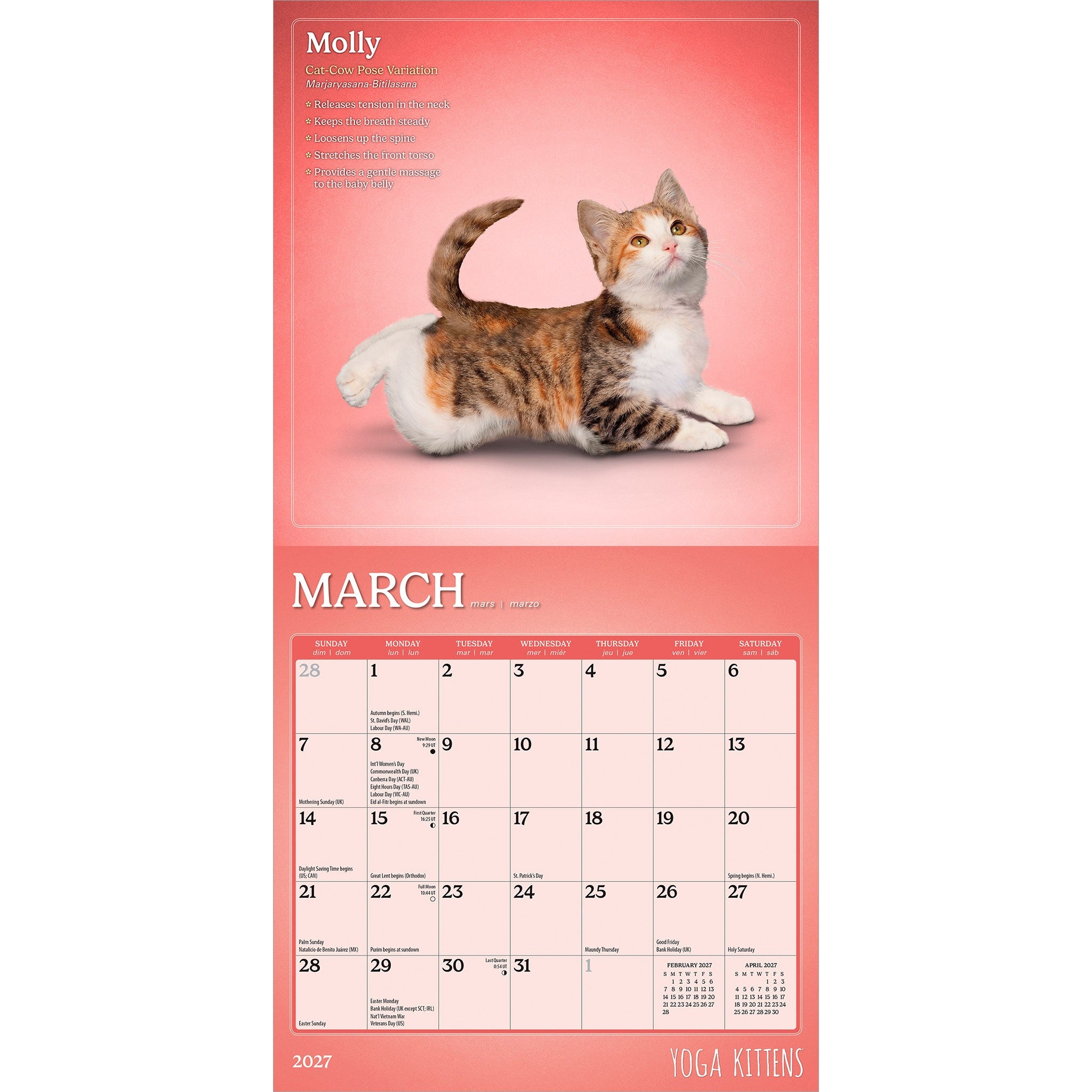 Yoga Kittens 2027 Mini Calendar