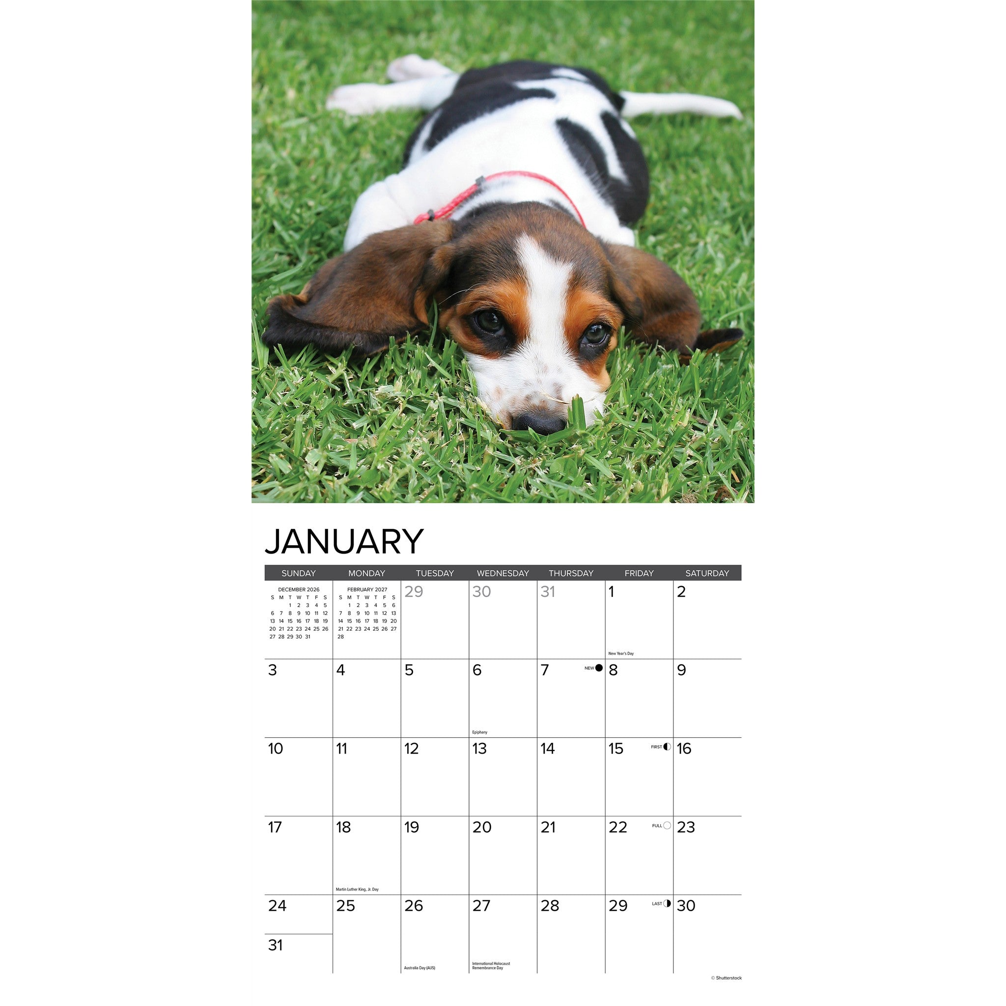 Basset Hound Puppies 2027 Wall Calendar - Online Only