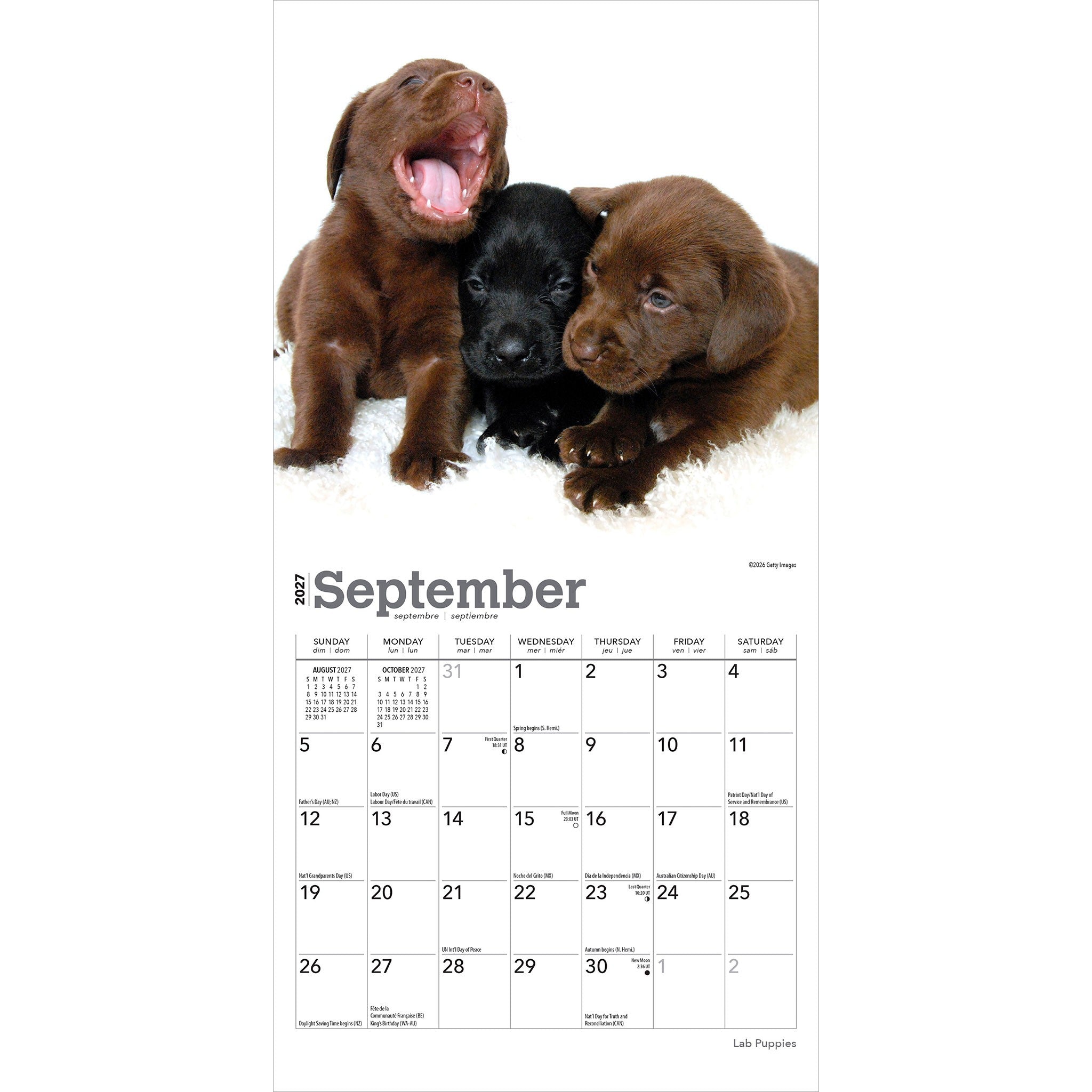 Lab Puppies 2027 Mini Calendar