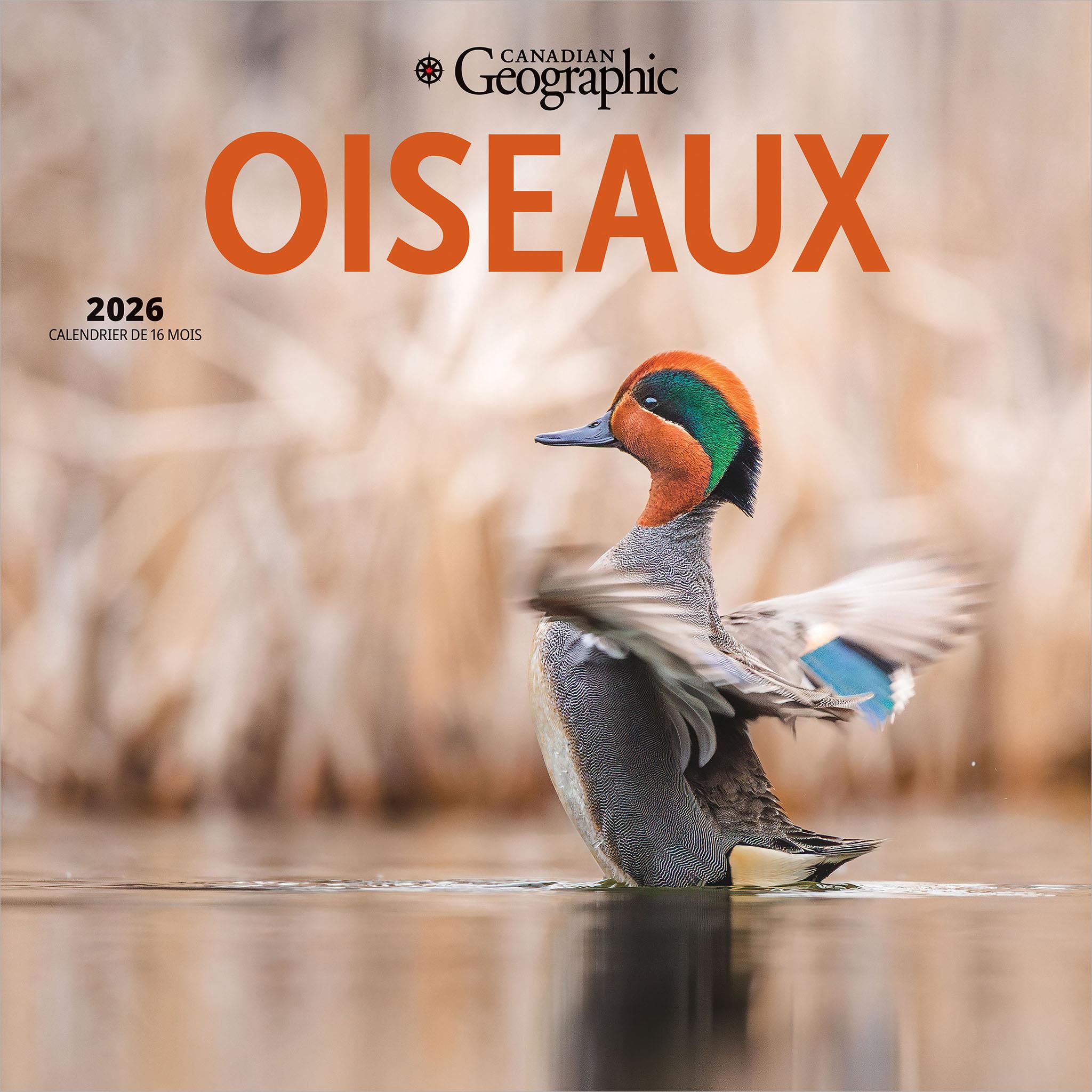 Calendrier mural Oiseaux 2026 de Canadian Geographic (français)