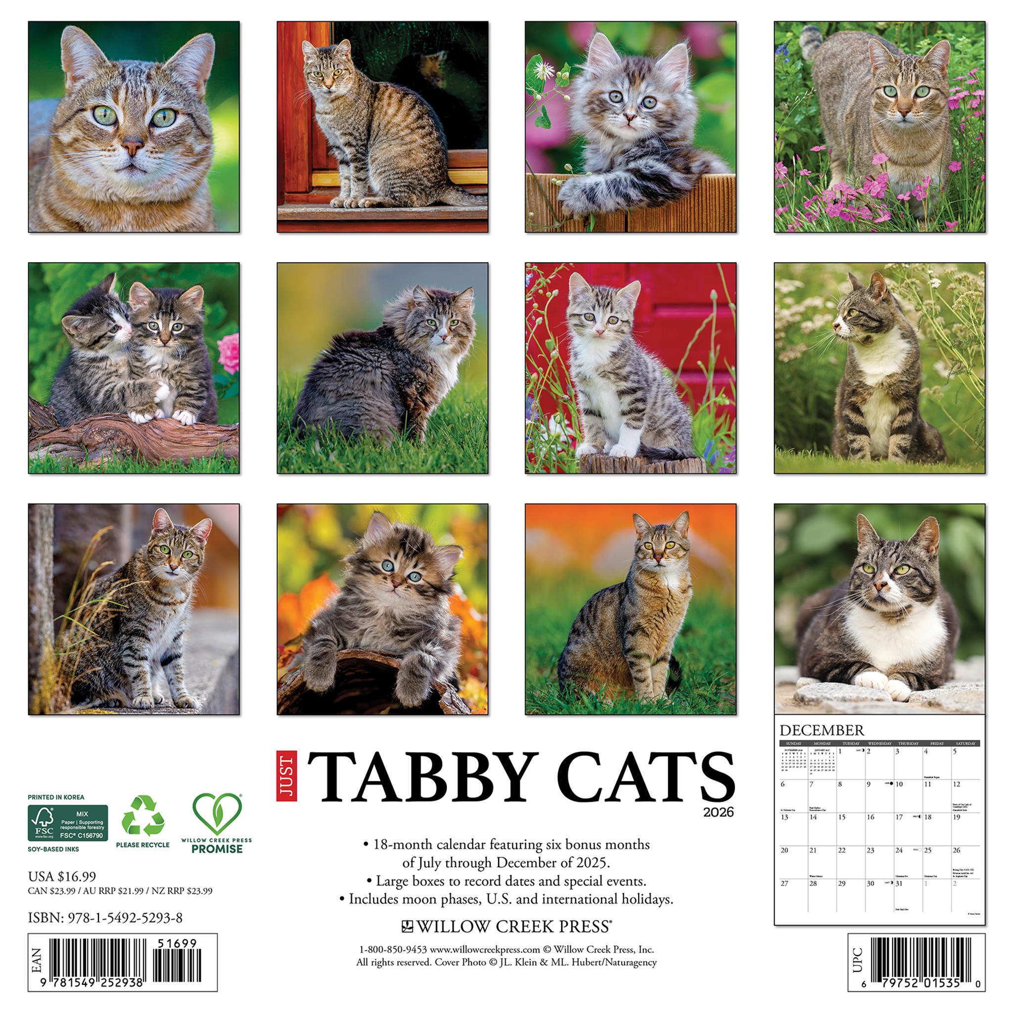 Calendrier mural 2026 « Just Tabby Cats » - Disponible uniquement en ligne