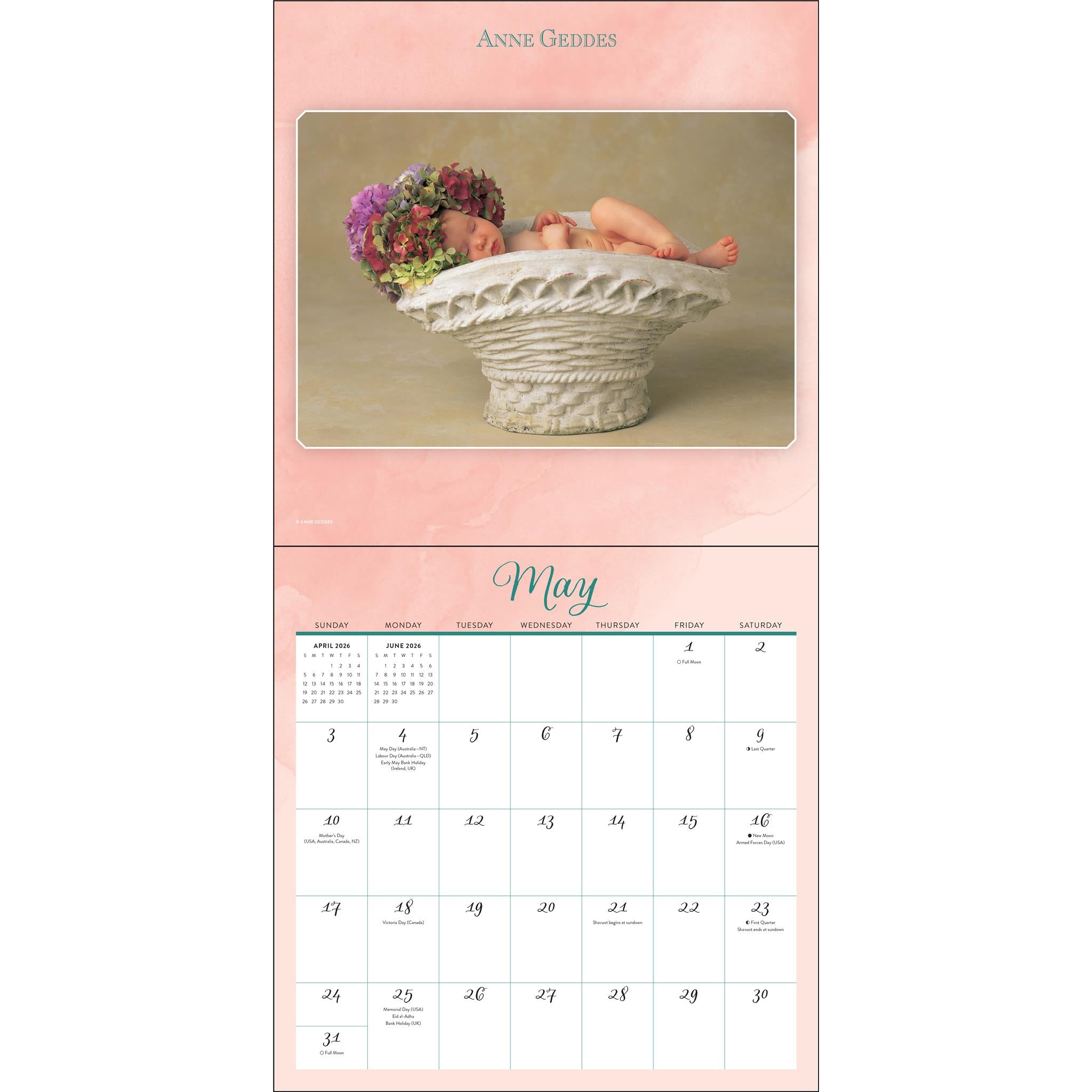 Calendrier mural Anne Geddes 2026