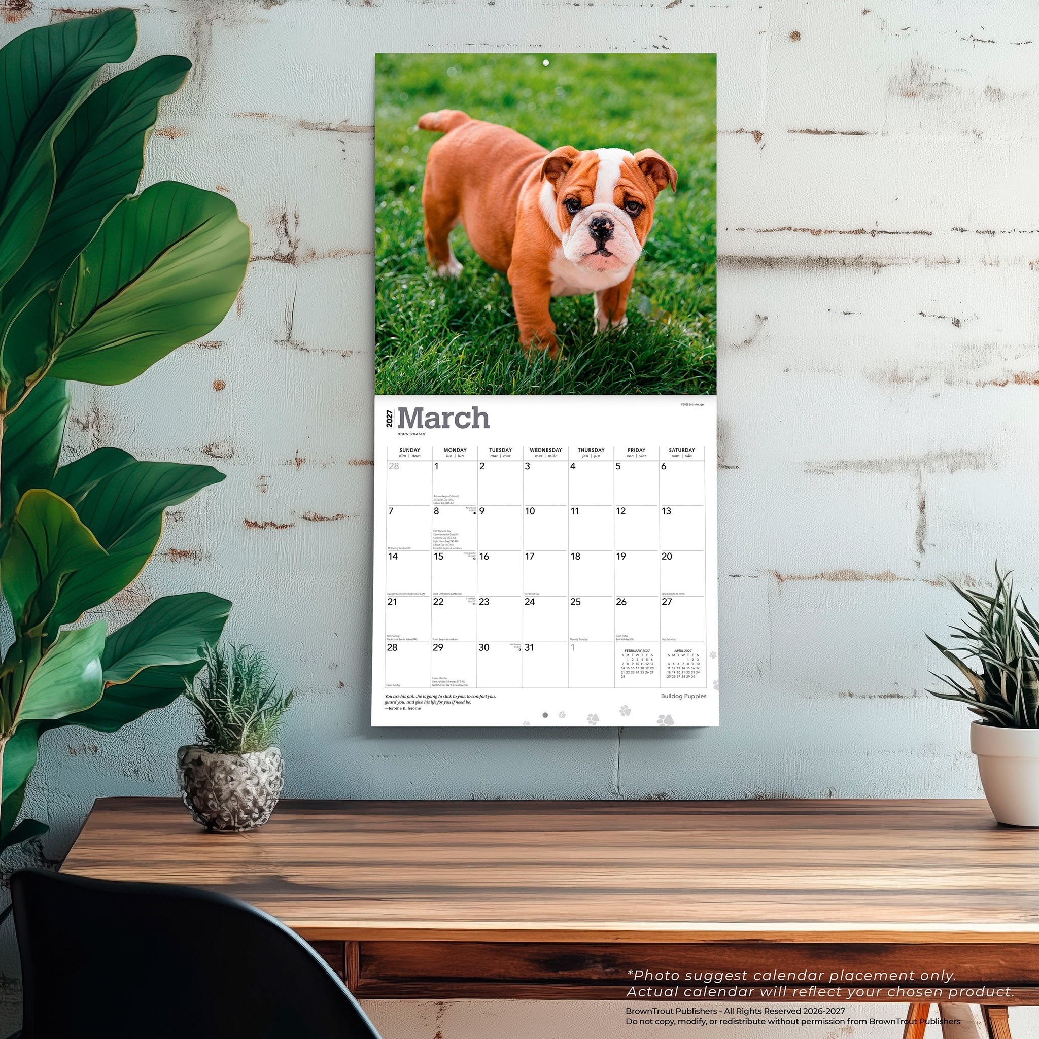 Bulldog Puppies 2027 Wall Calendar - Online Only