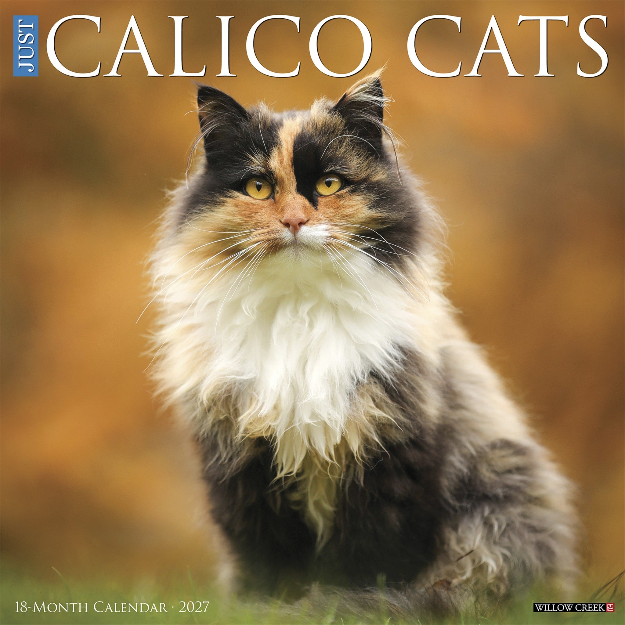 Calico Cats 2027 Wall Calendar
