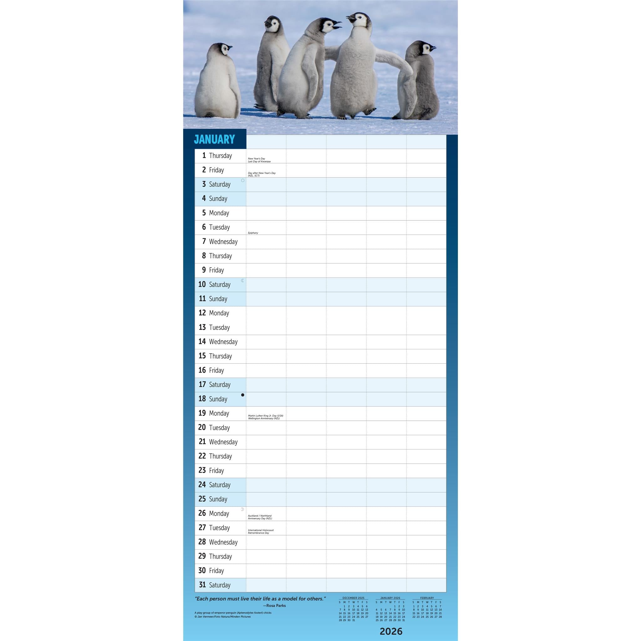 Calendrier mural 2026 pour familles occupées
