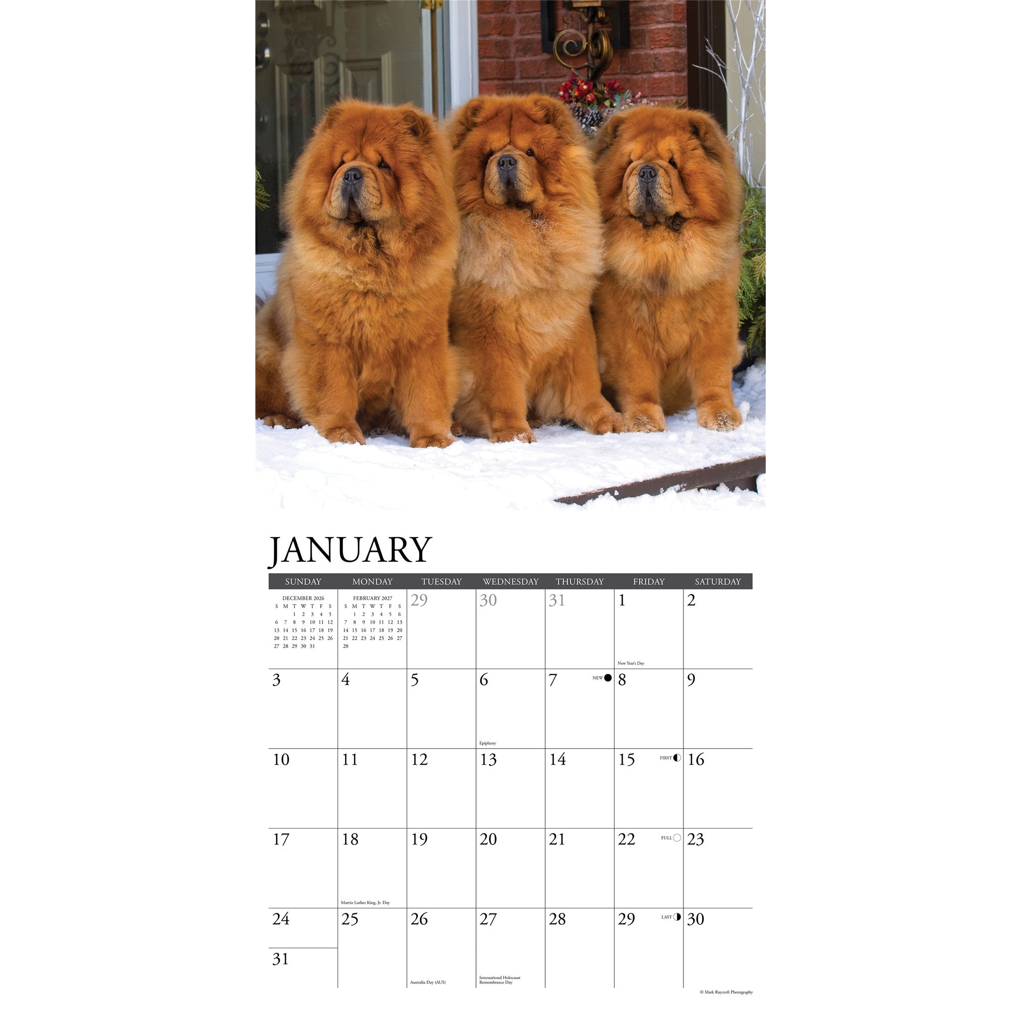 Chow Chows 2027 Wall Calendar