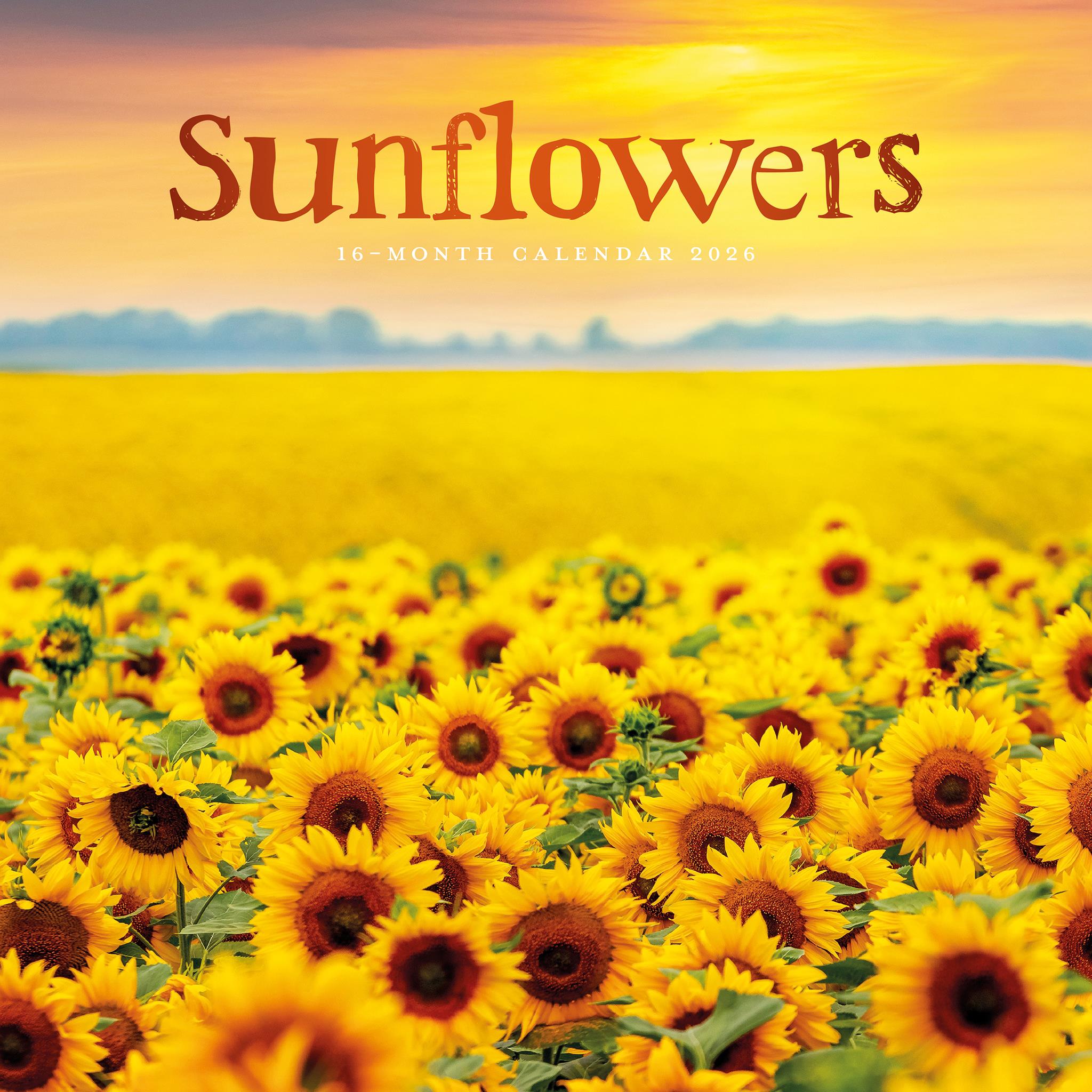 Sunflowers 2026 Wall Calendar