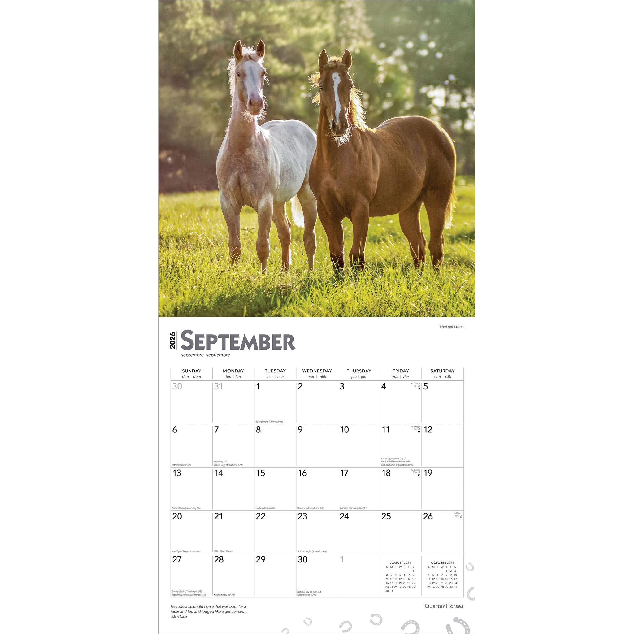 Calendrier mural Quarter Horses 2026 - Disponible uniquement en ligne