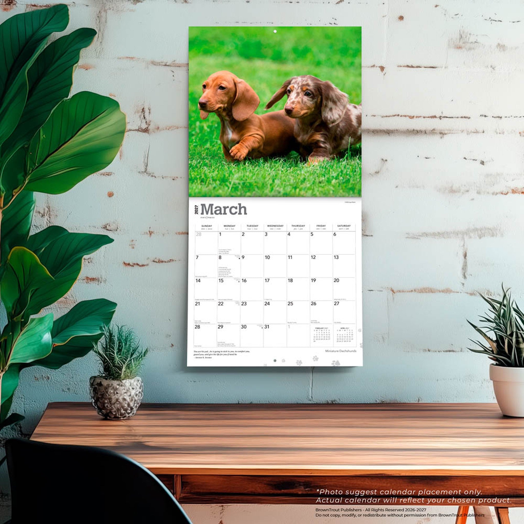 Miniature Dachshunds 2027 Wall Calendar