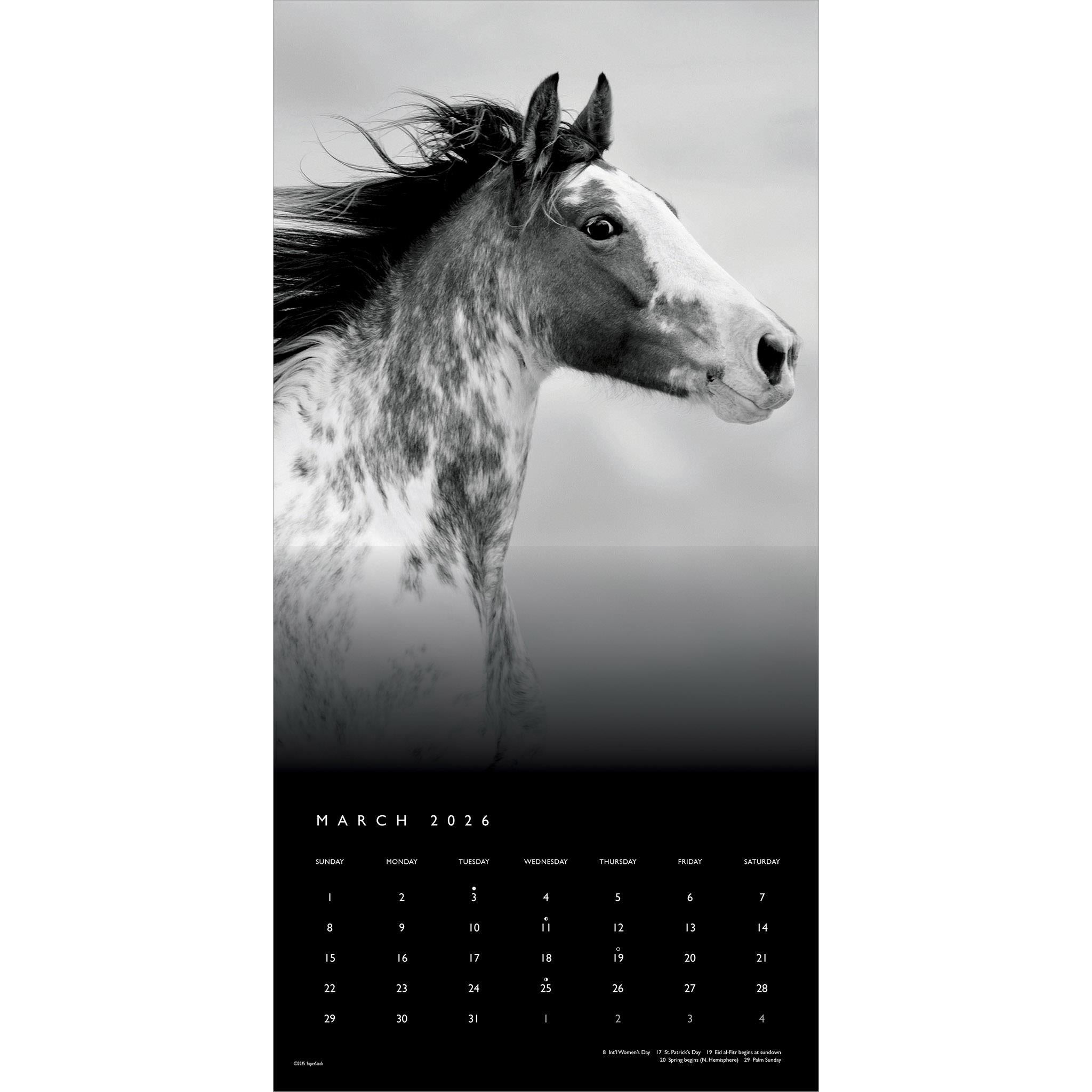 Calendrier mural The Noble Horse 2026
