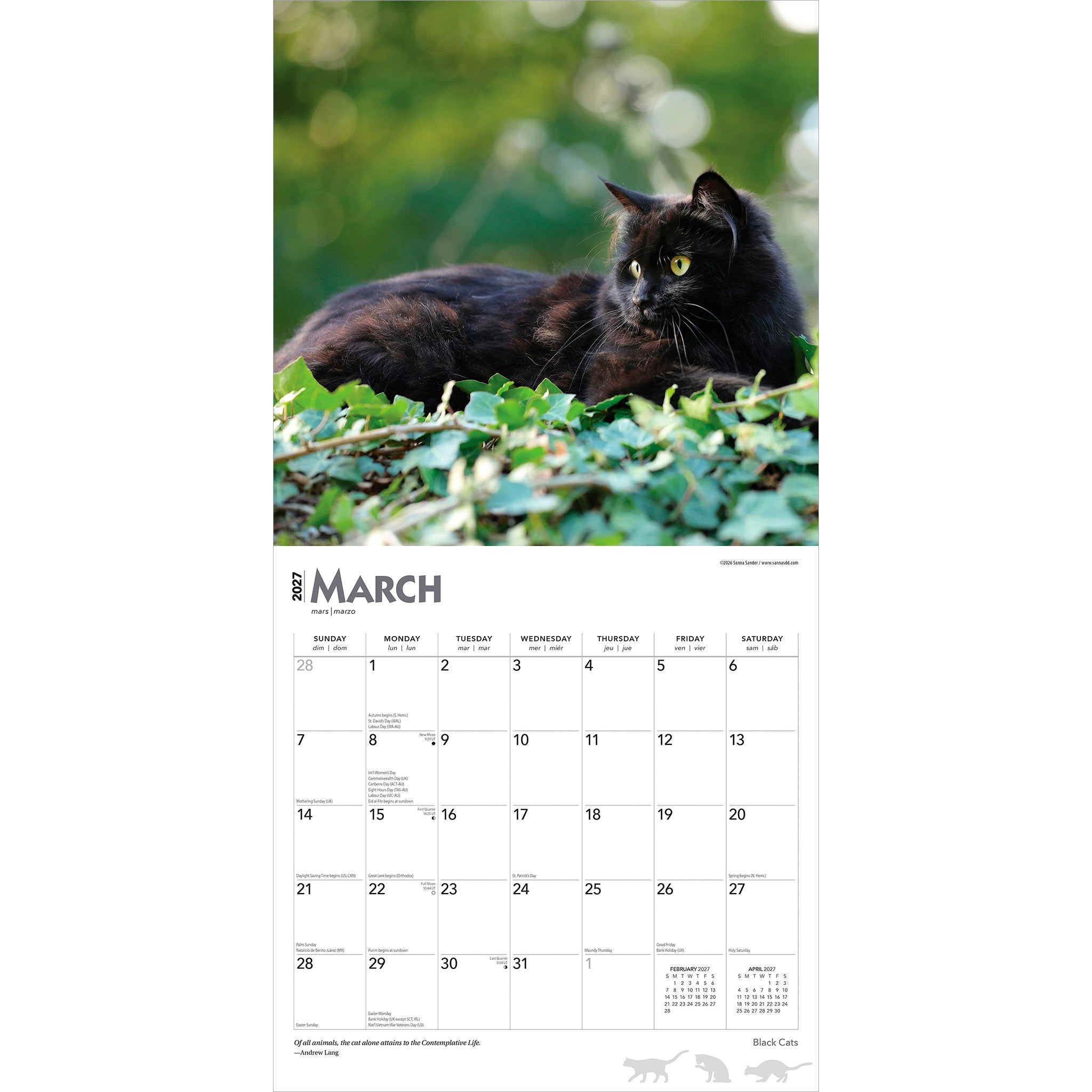 Black Cats 2027 Wall Calendar