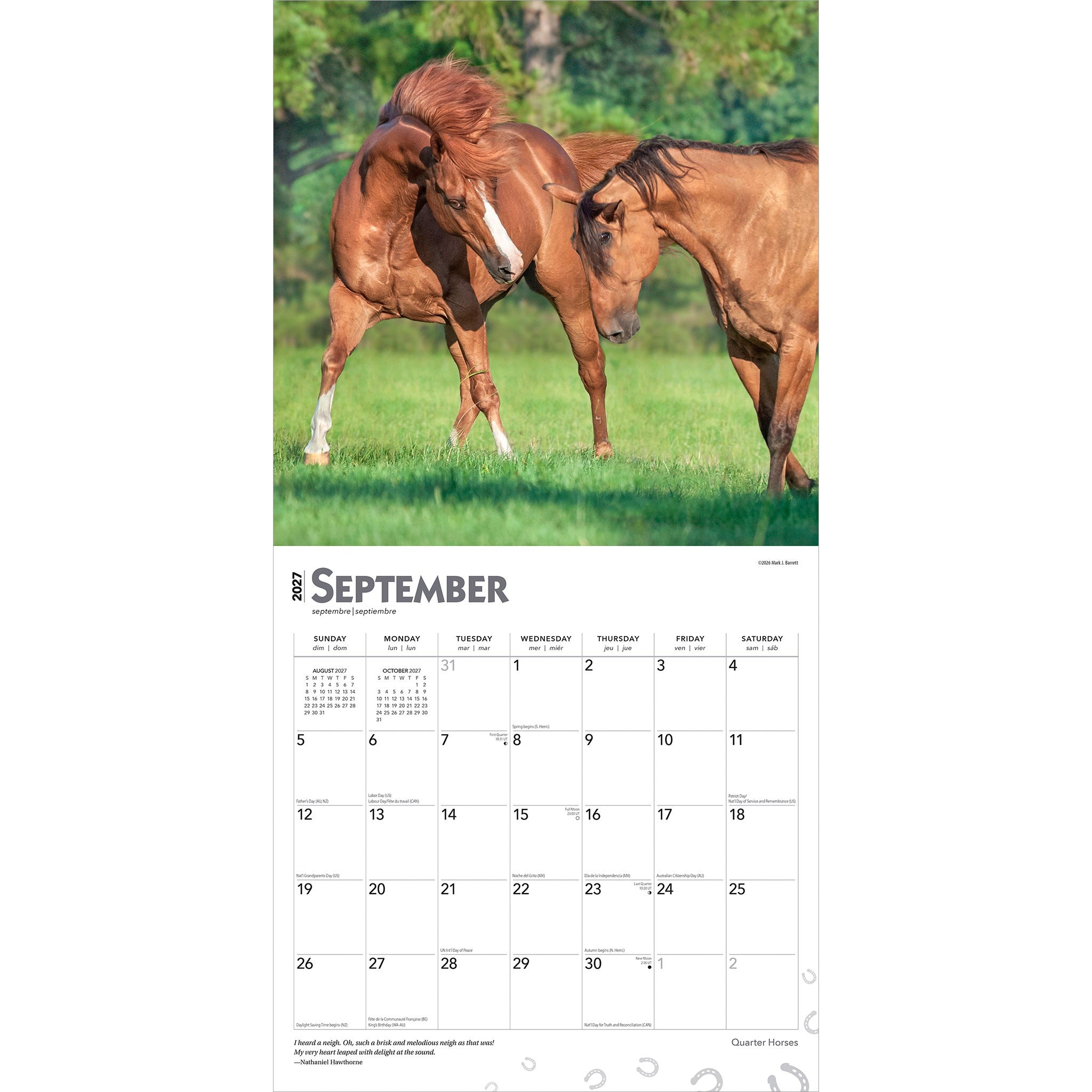 Quarter Horses 2027 Wall Calendar - Online Only