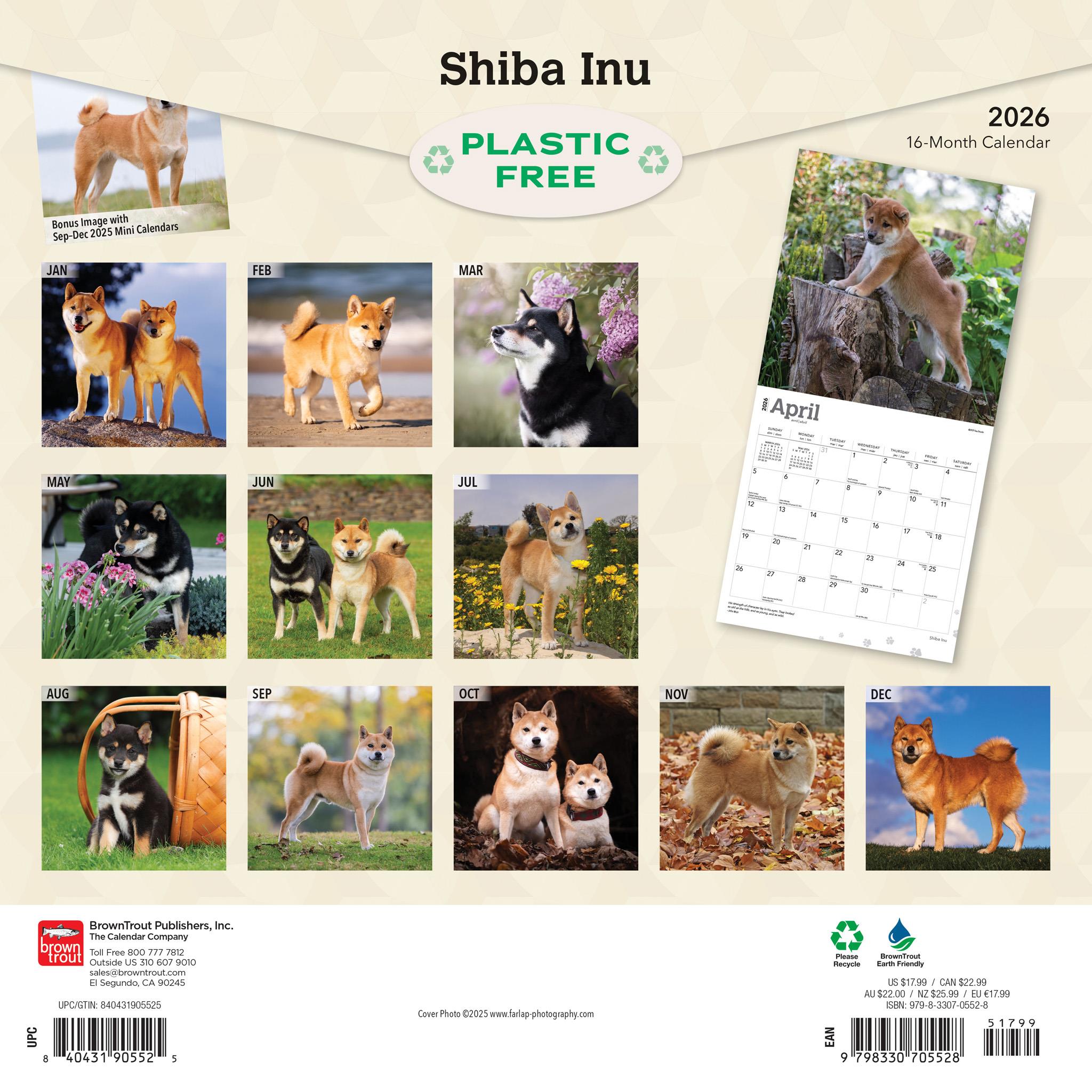 Calendrier mural Shiba Inu 2026 - Disponible uniquement en ligne
