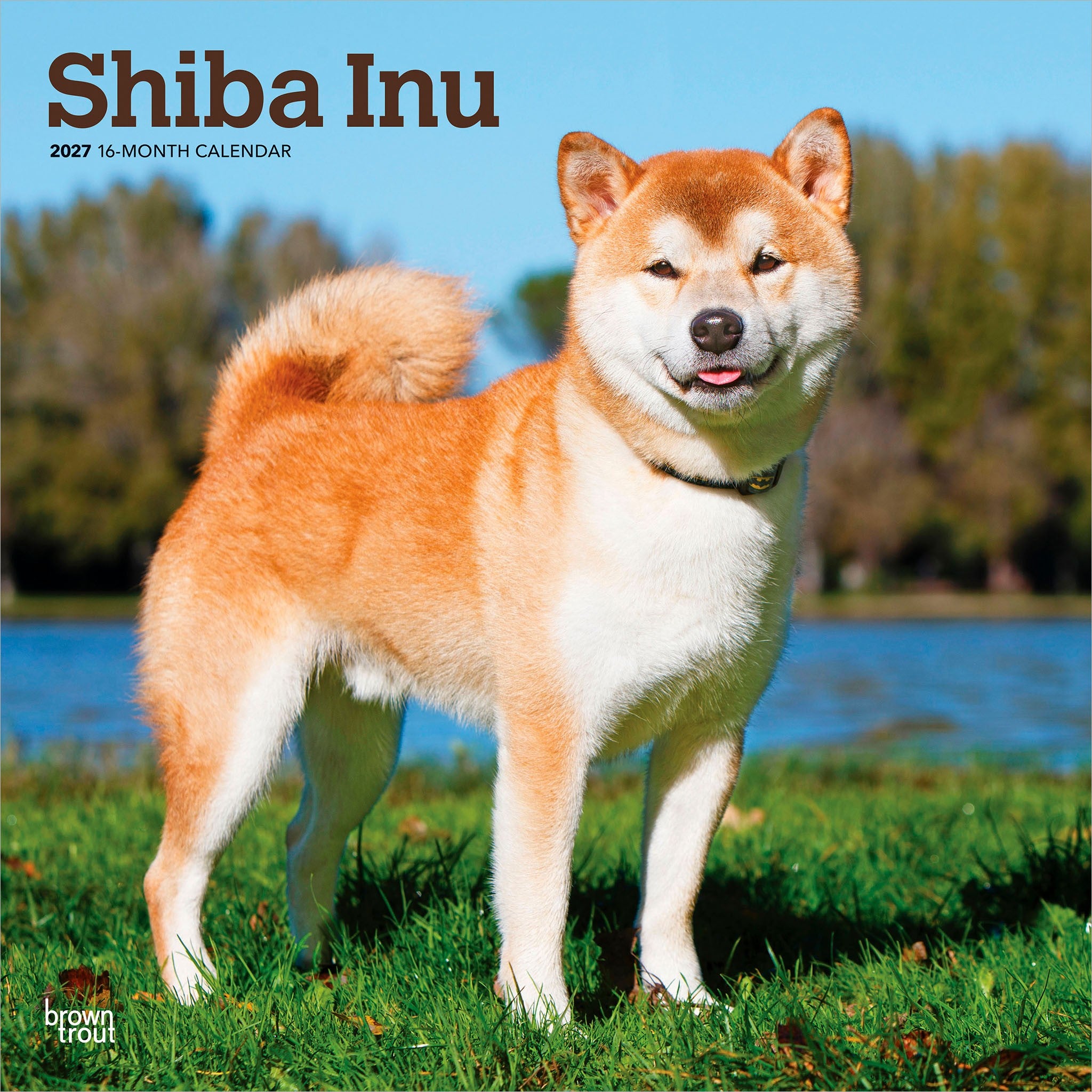 Shiba Inu 2027 Wall Calendar - Online Only