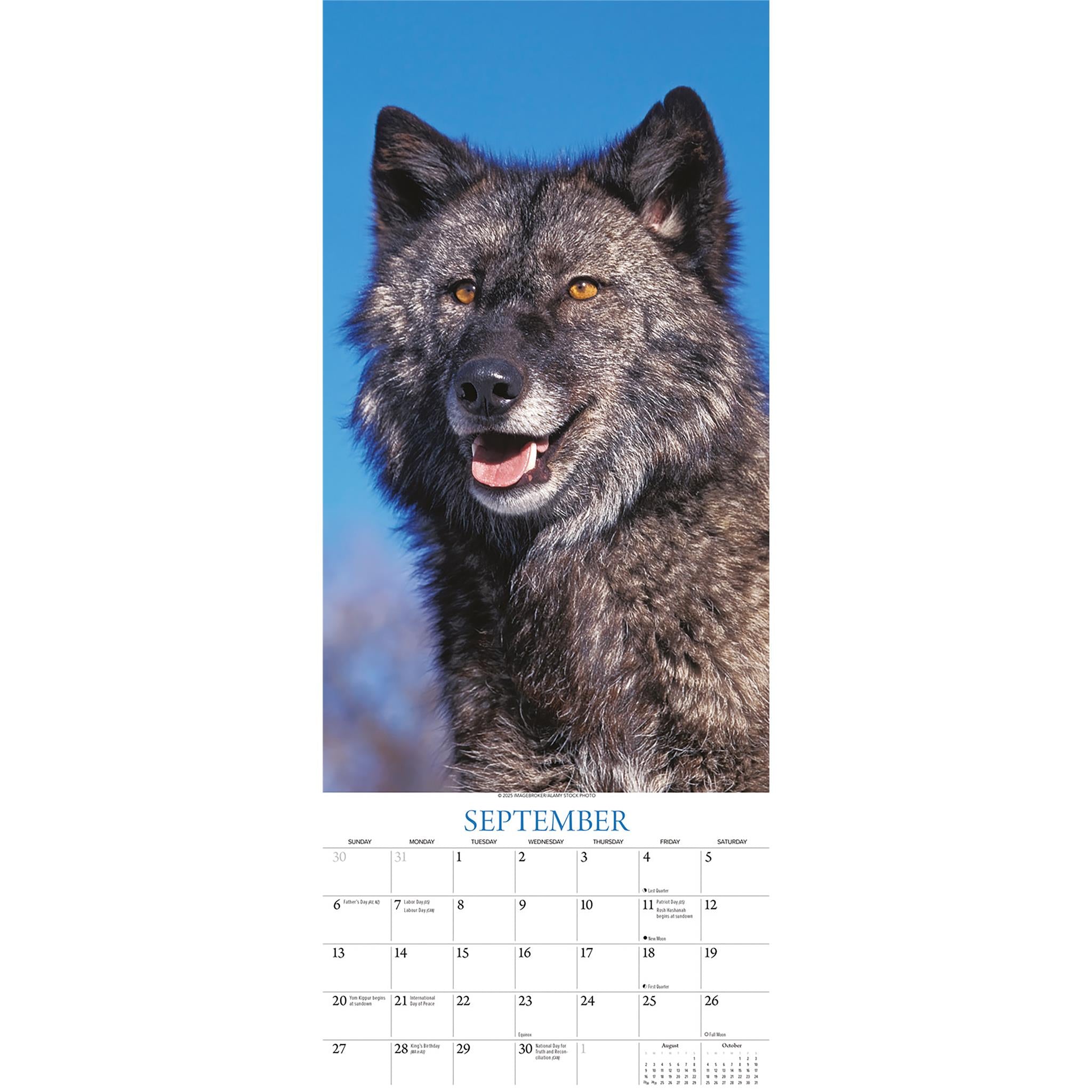 Wolves 2026 Poster Calendar