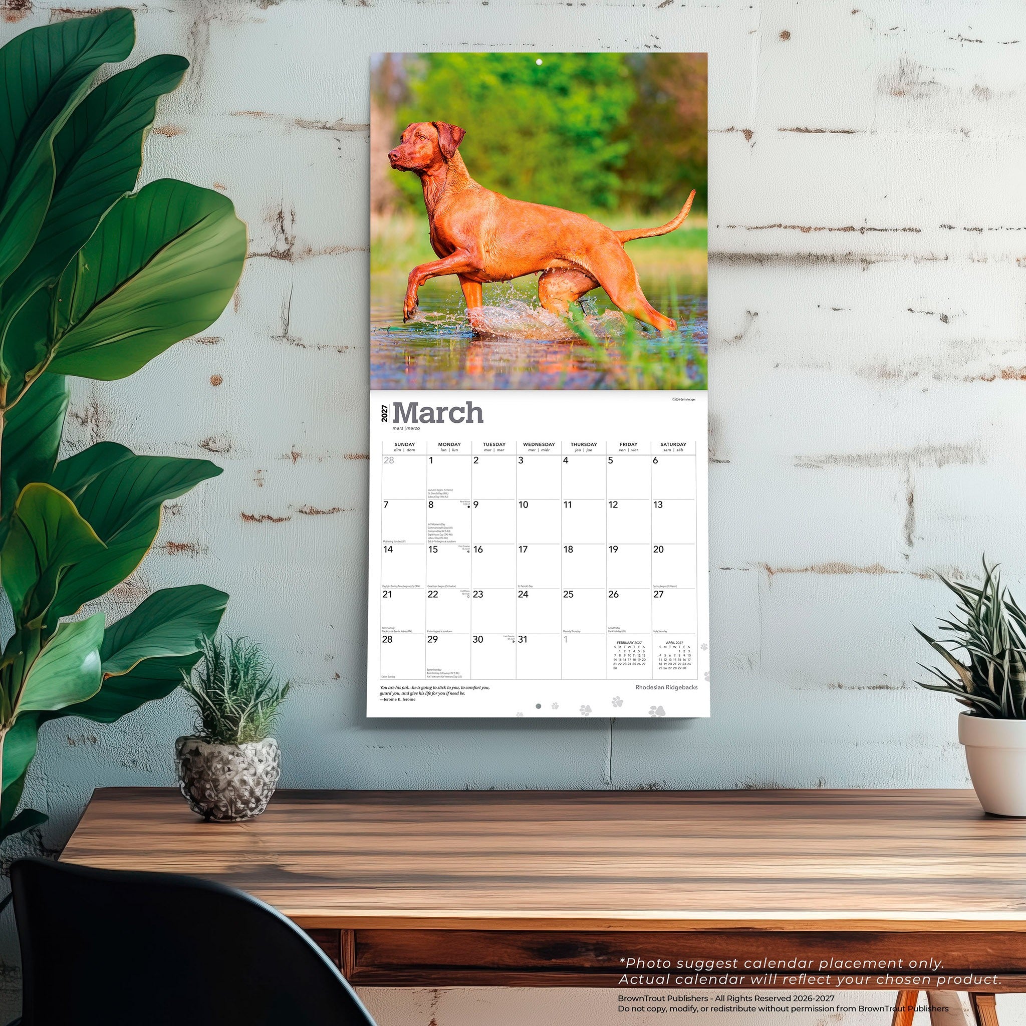 Rhodesian Ridgebacks 2027 Wall Calendar