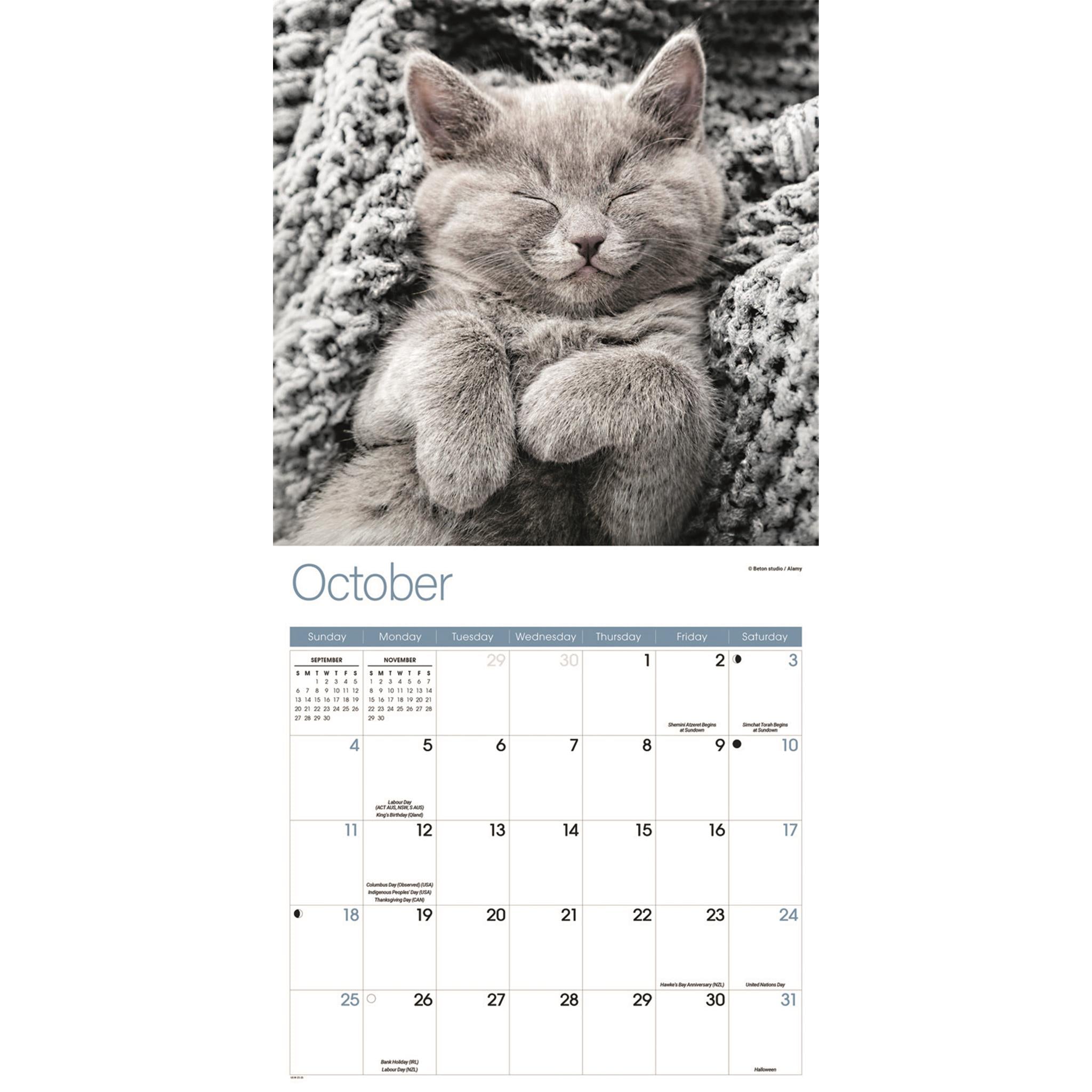 Calendrier mural Kitty Naps 2026