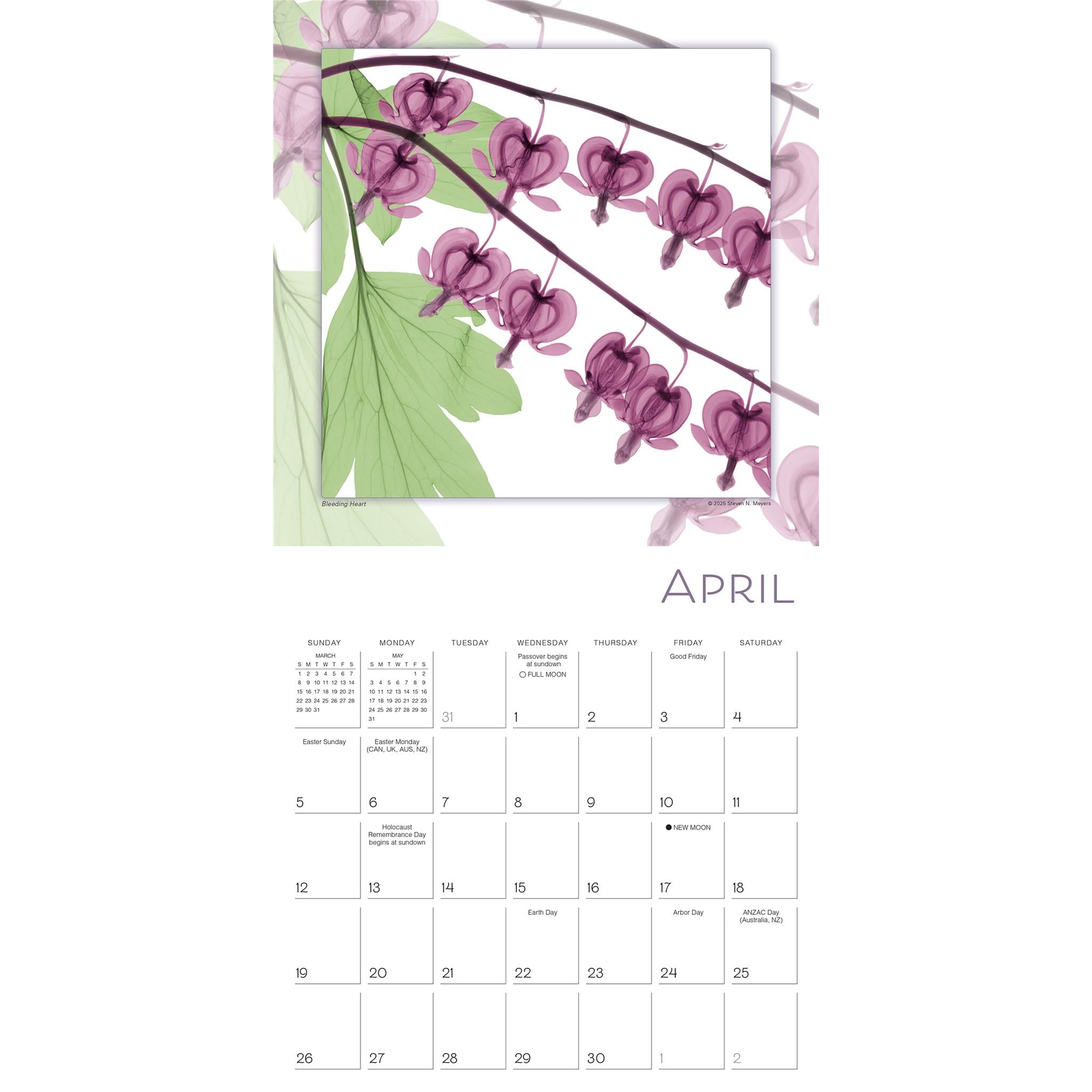 Calendrier mural Flower Spirits 2026