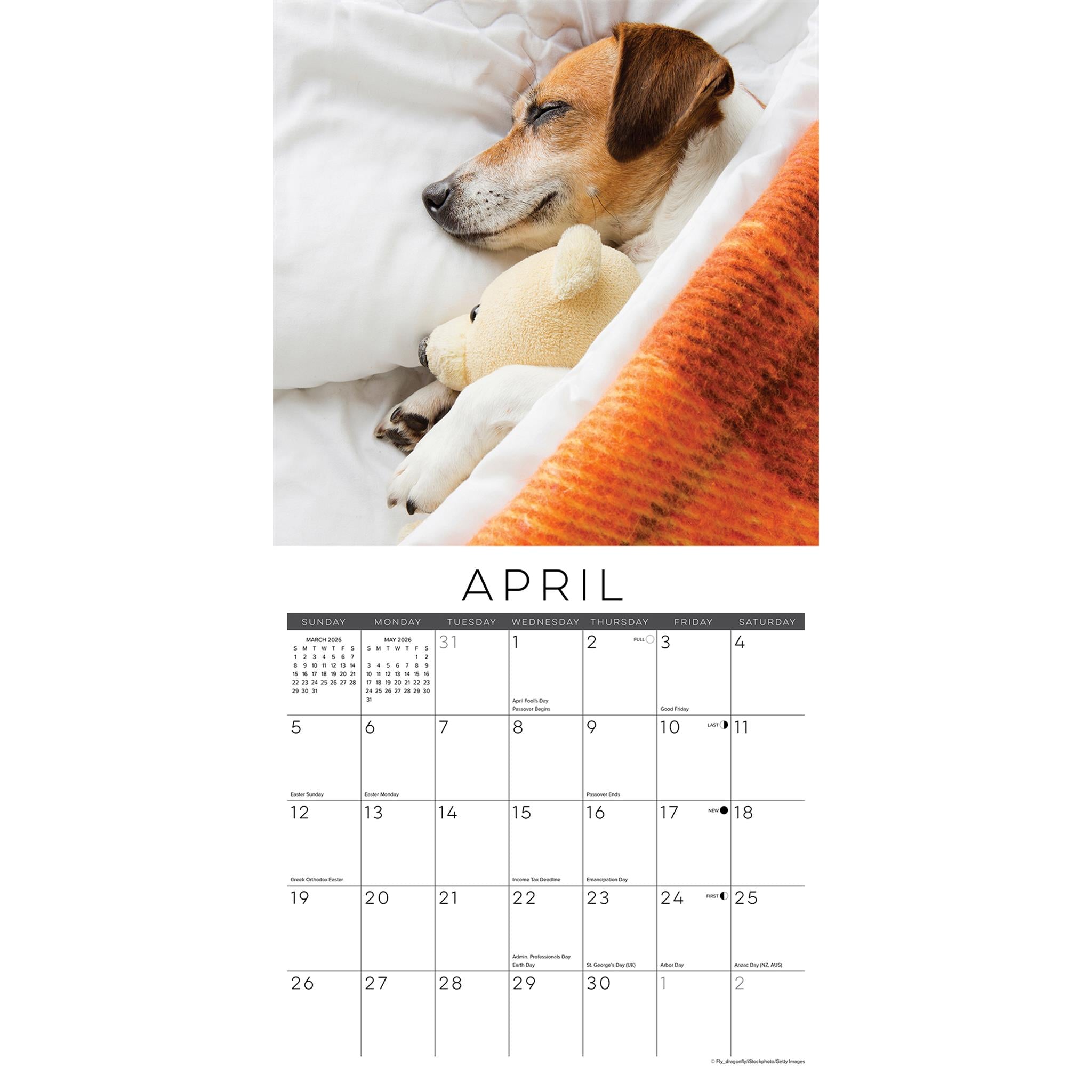 Naptime Dogs And Puppies 2026 Wall Calendar