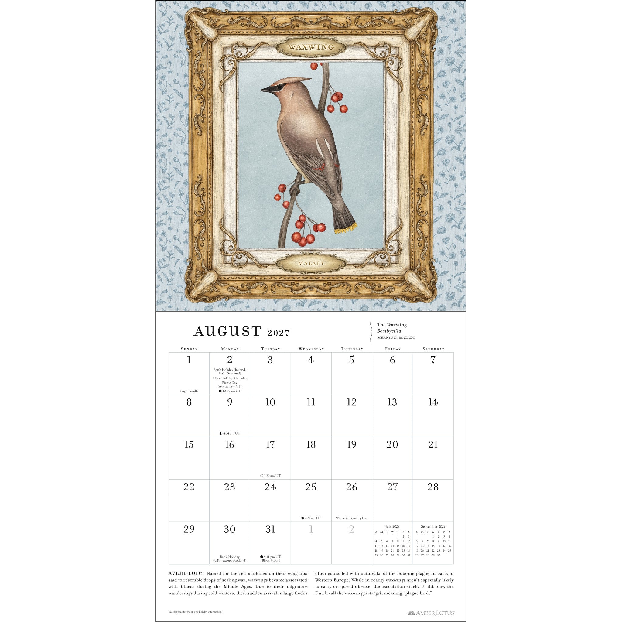 Calendrier mural Ornithography 2027
