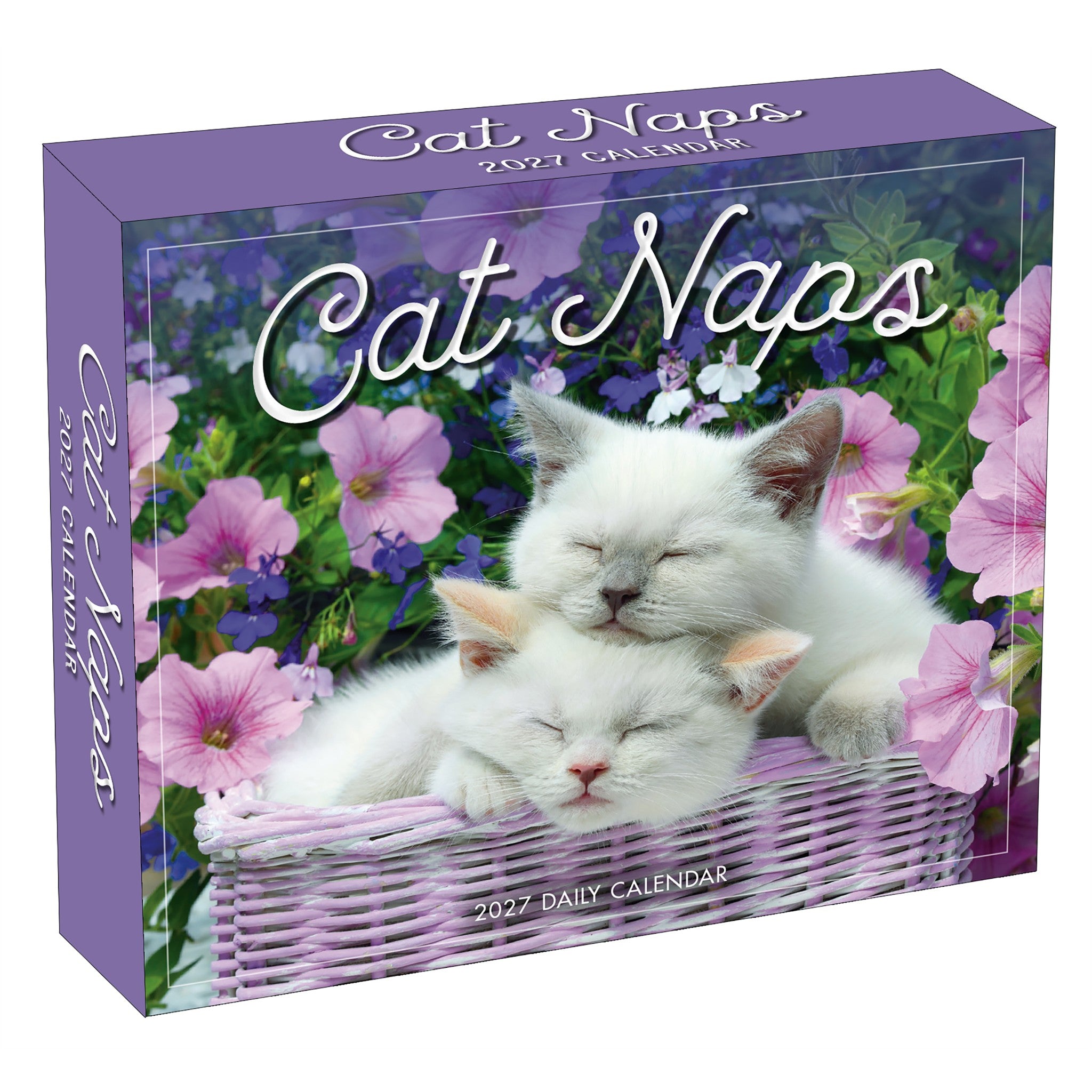 Cat Naps 2027 Box Calendar