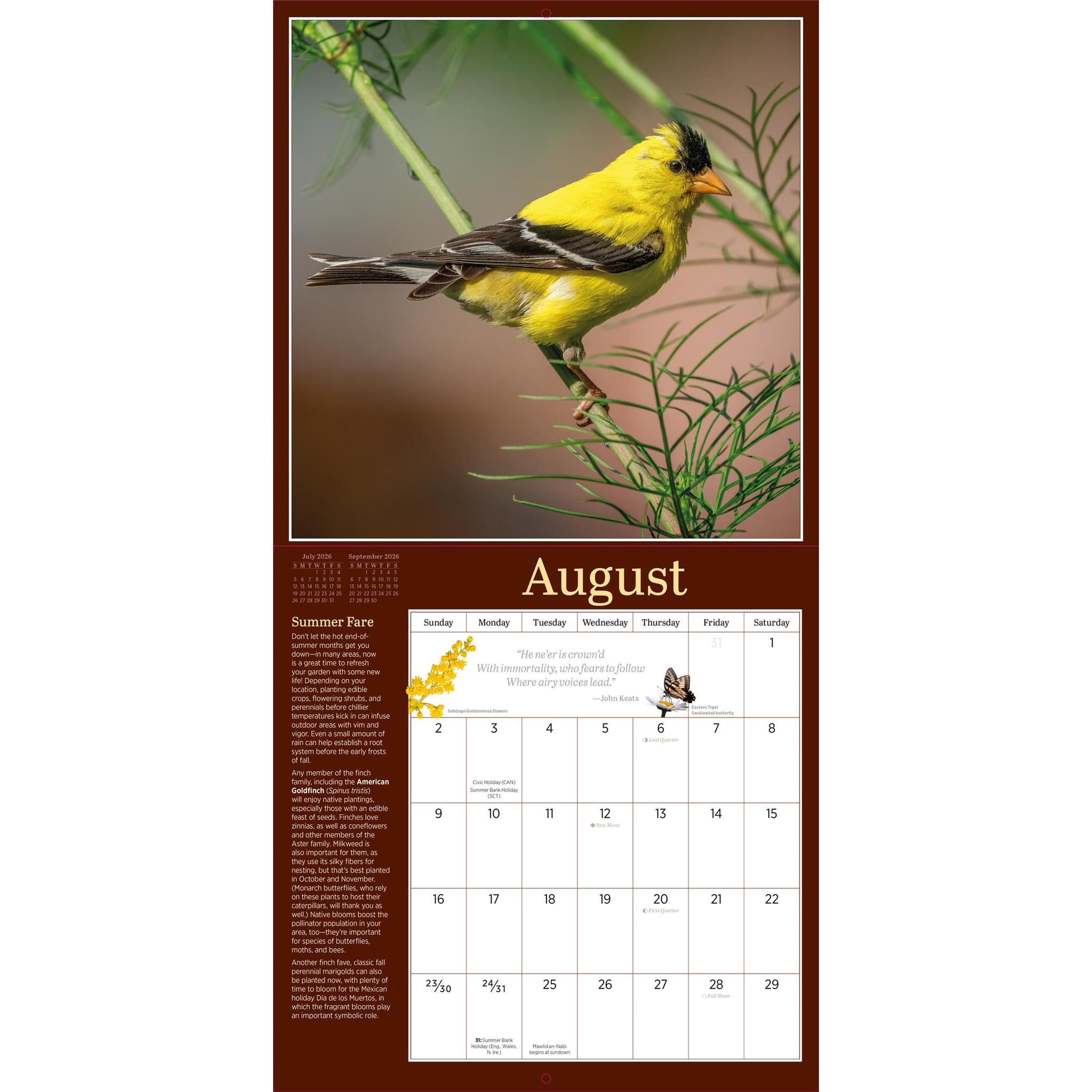 Calendrier mural Audubon Oiseaux du jardin 2026