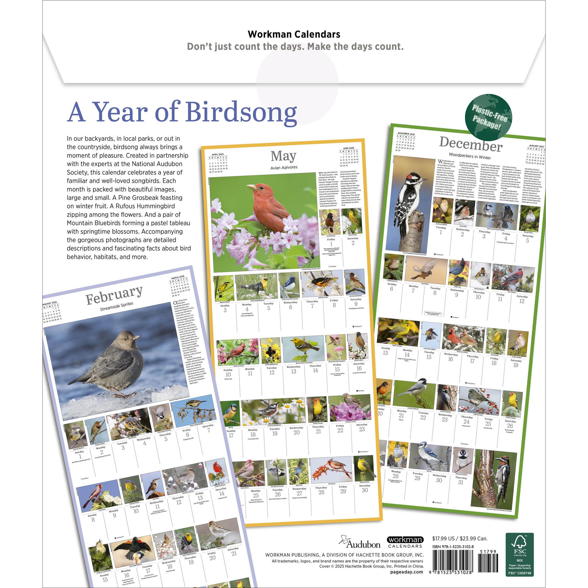 Calendrier mural Audubon Songbirds 365 2026