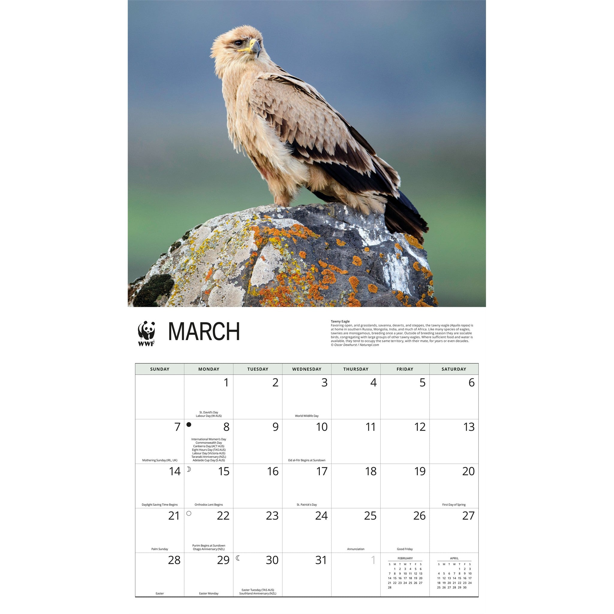 Calendrier mural 2027 Aigles - WWF