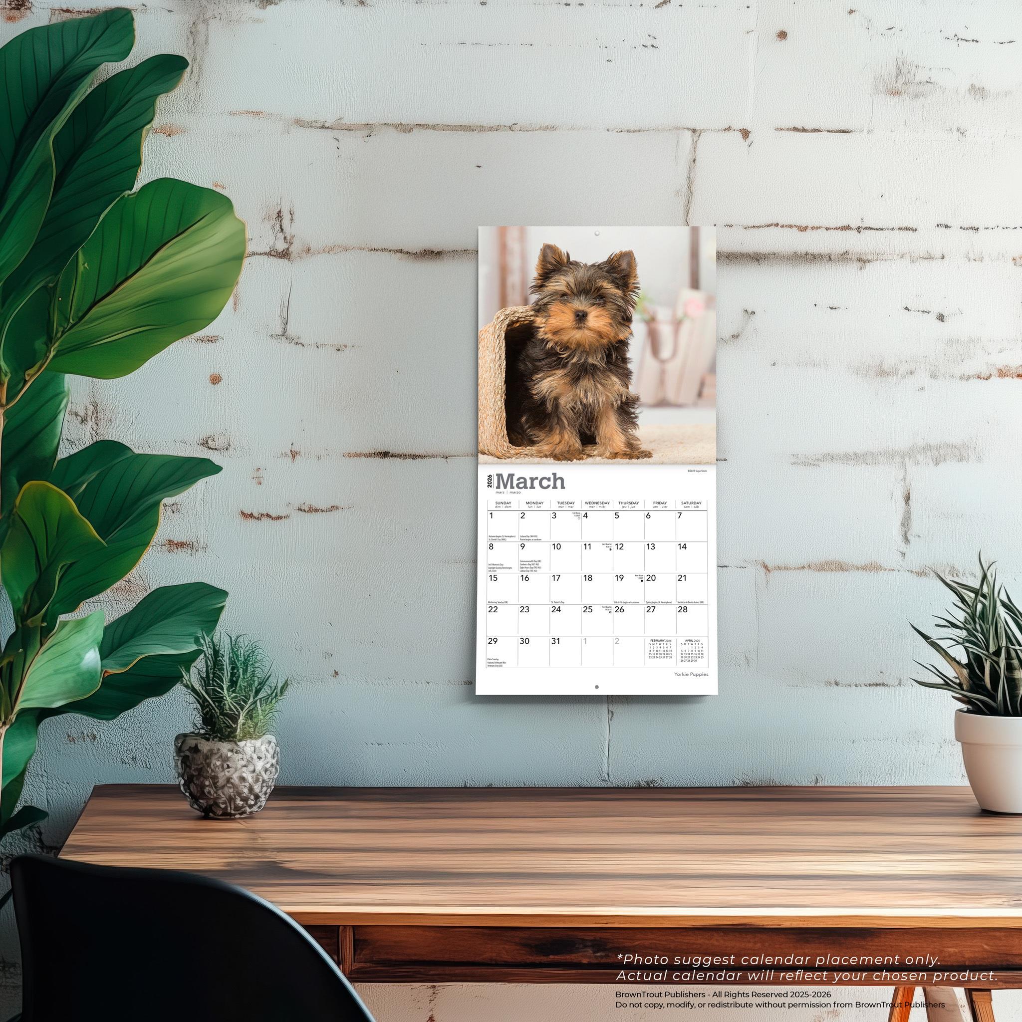 Yorkshire Terrier Puppies 2026 Mini Calendar