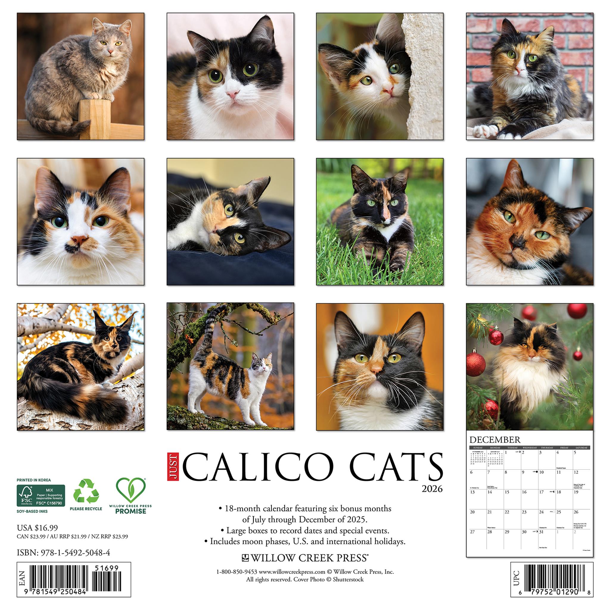 Calendrier mural Just Calico Cats 2026