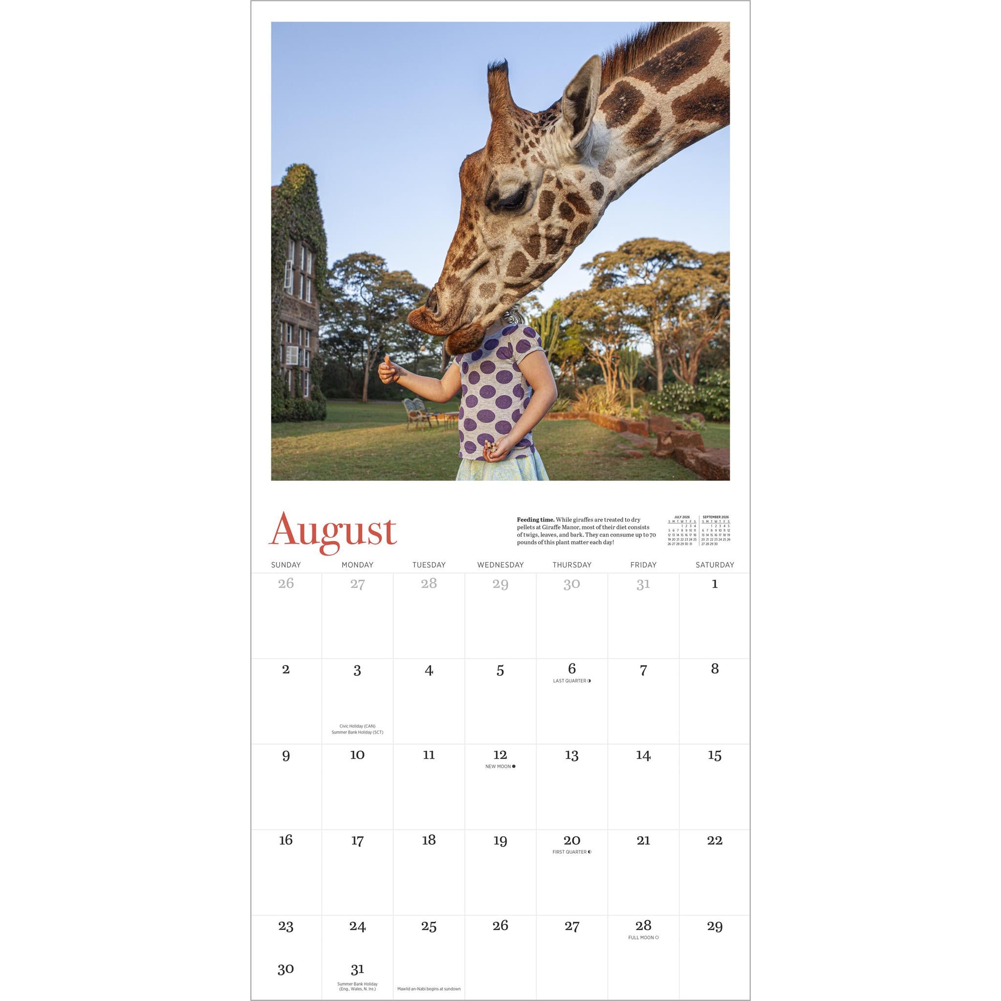 Giraffe Manor 2026 Wall Calendar - Online Only