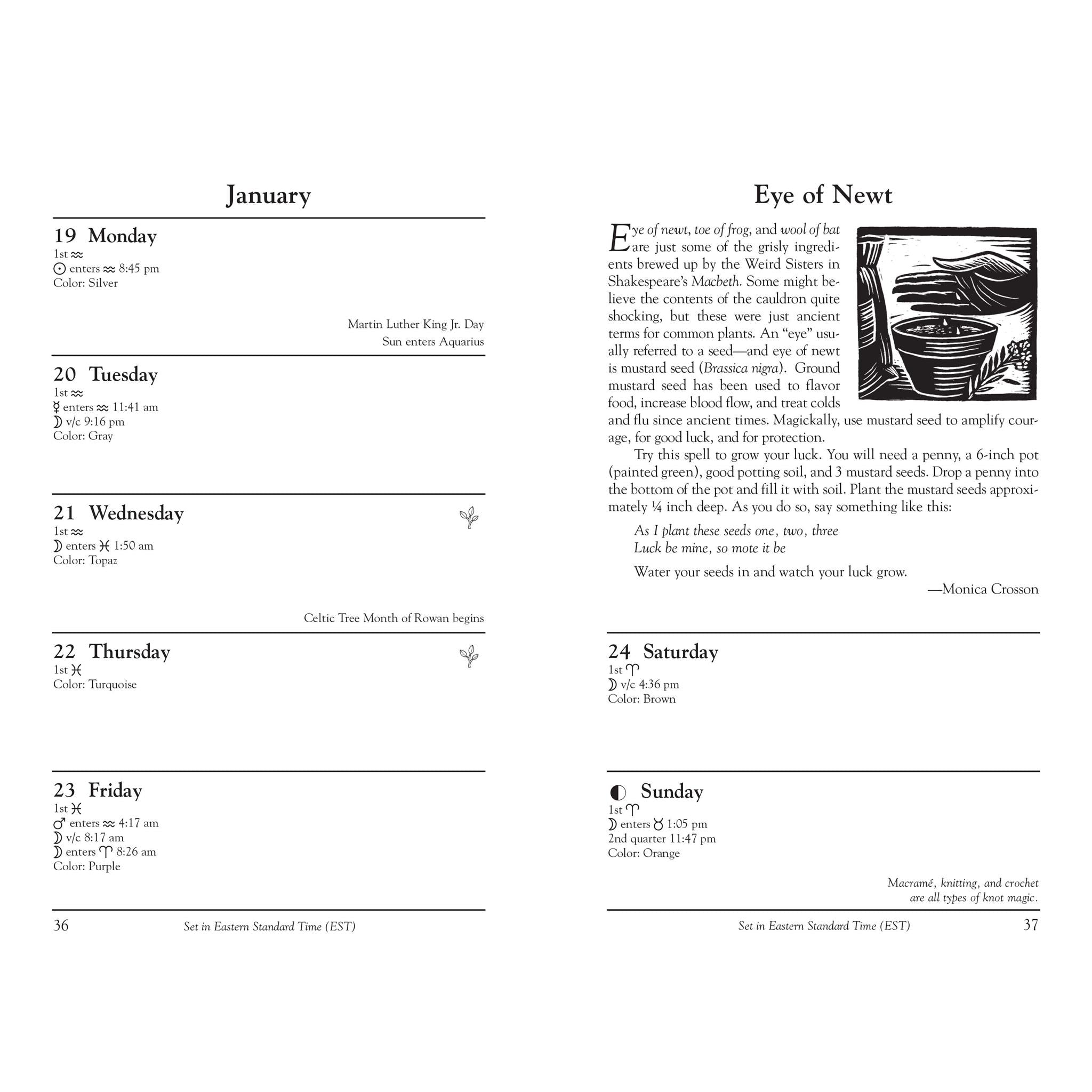 Agenda des sorcières 2026