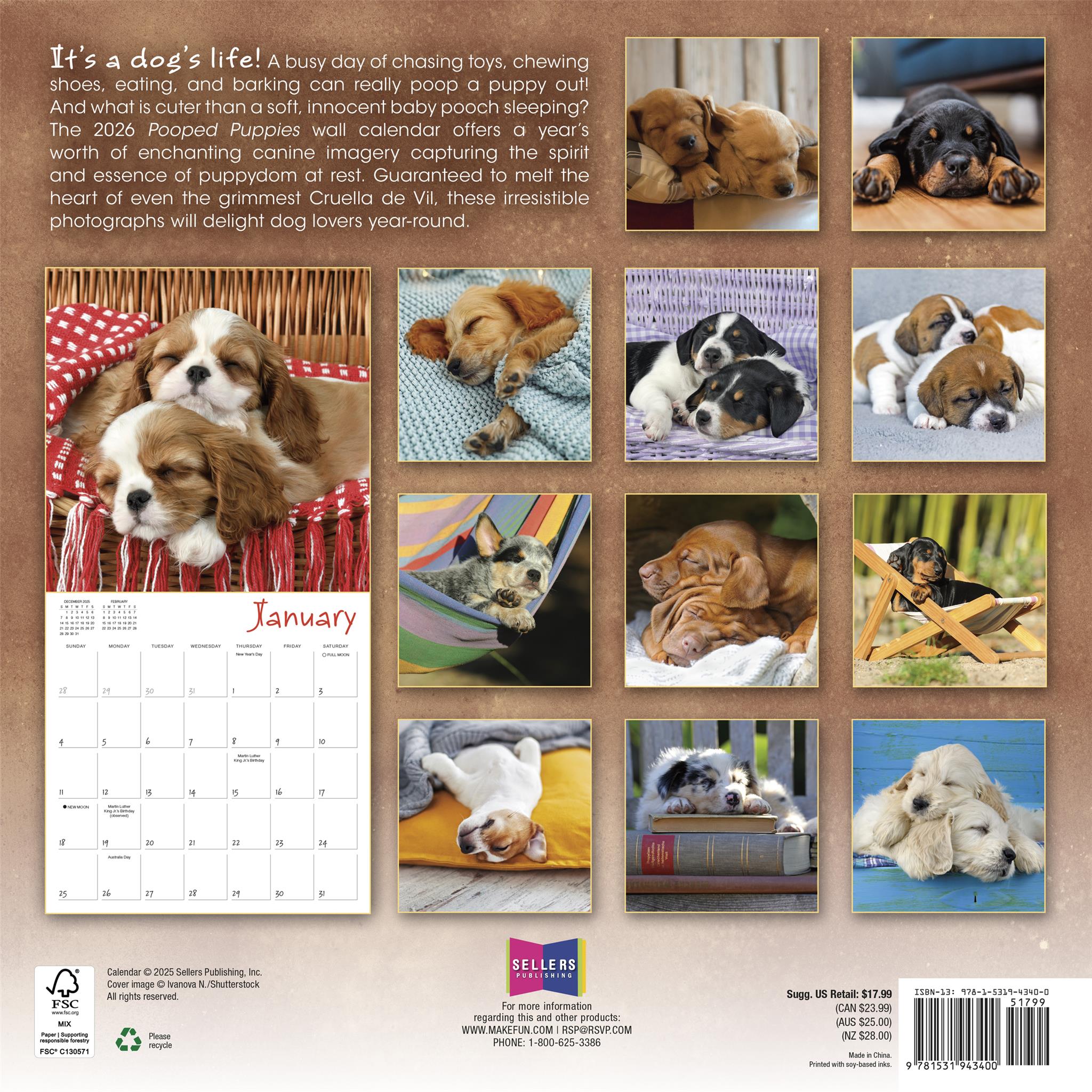 Calendrier mural 2026 « Chiots qui font caca » - Disponible uniquement en ligne