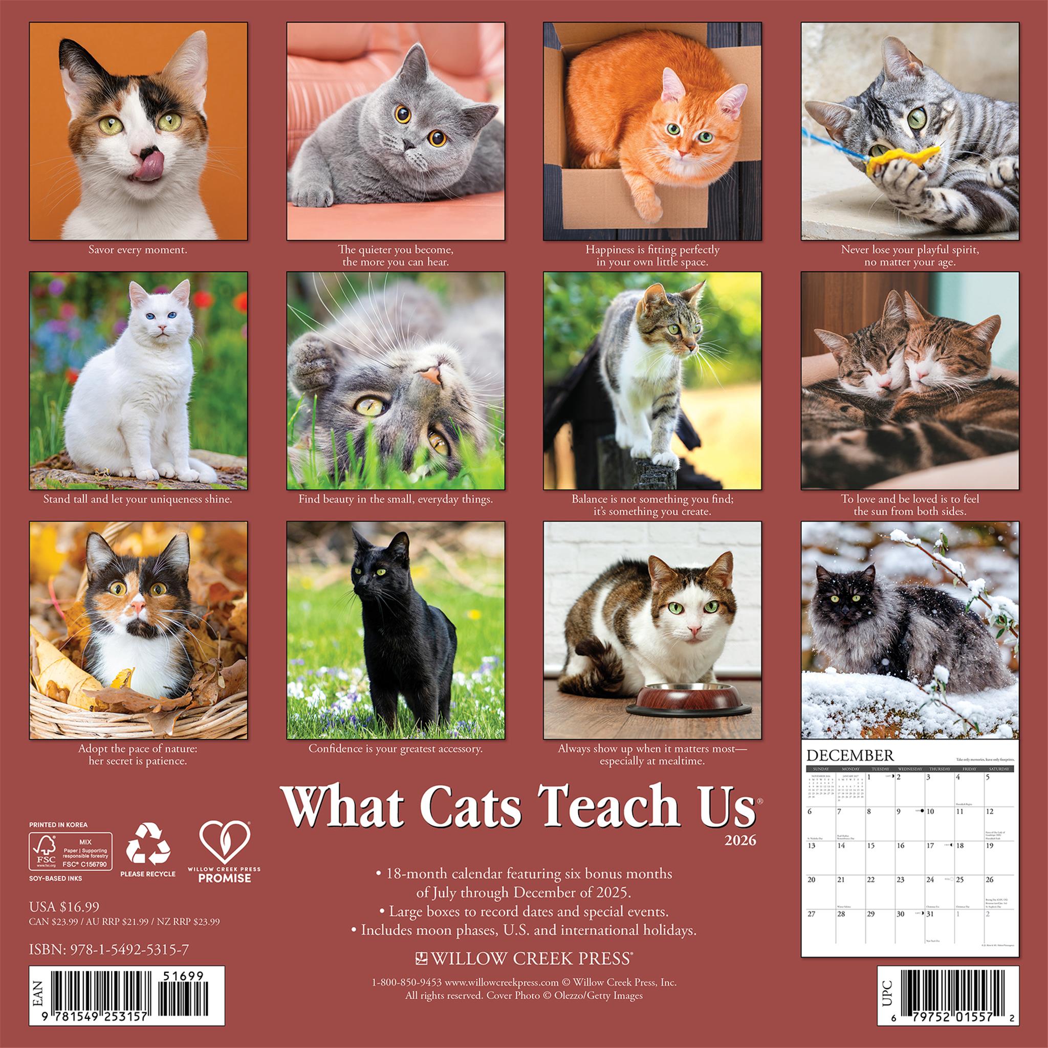 Calendrier mural 2026 « Ce que les chats nous apprennent »