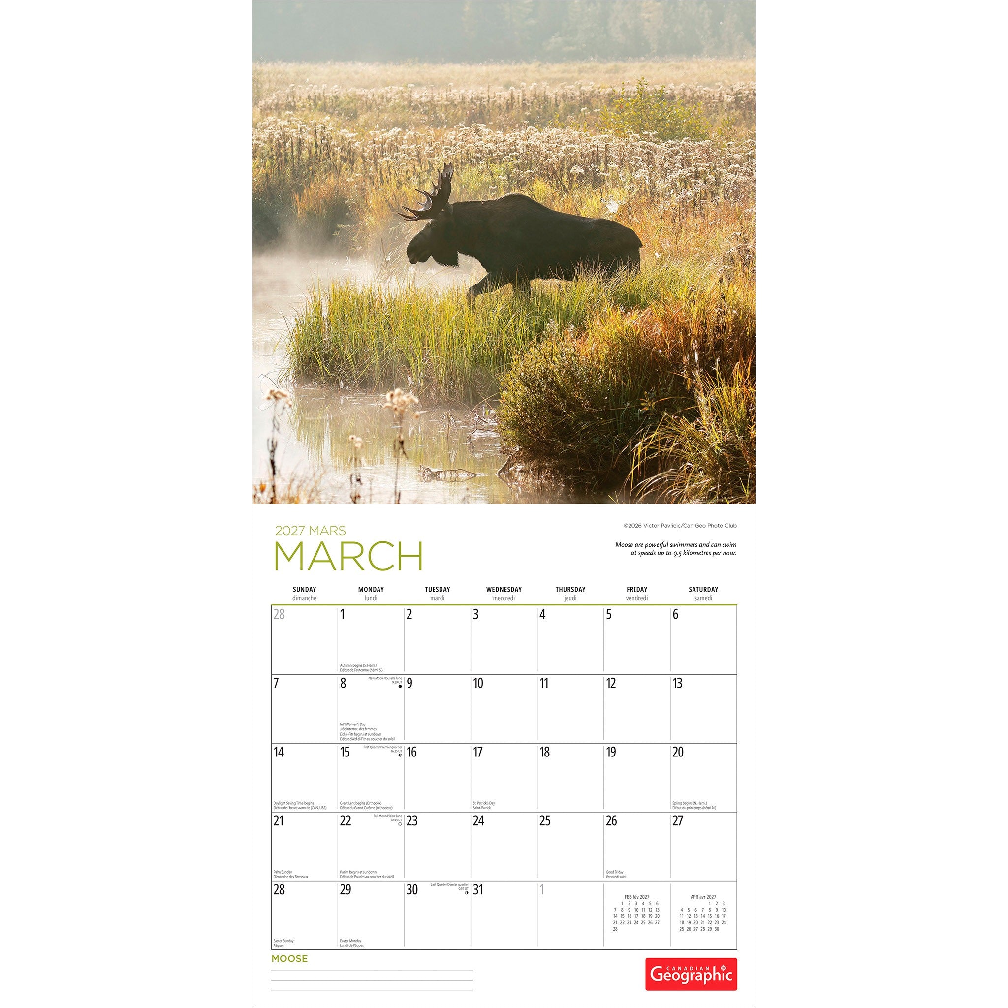 Canadian Geographic Moose 2027 Wall Calendar
