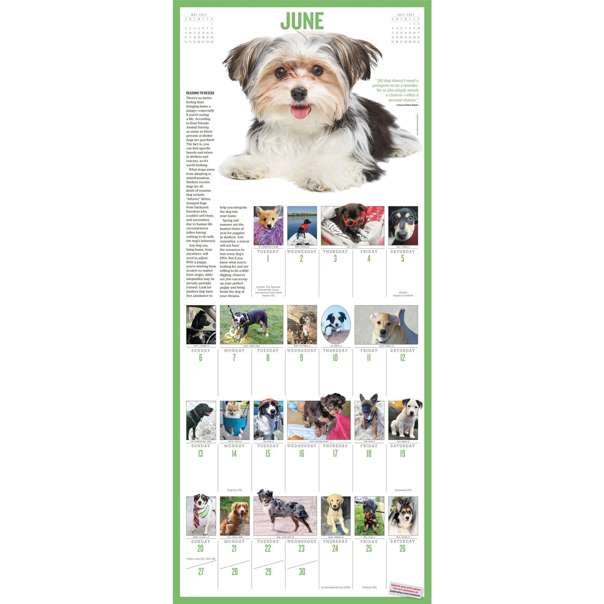 365 Puppies a Year 2027 Wall Calendar