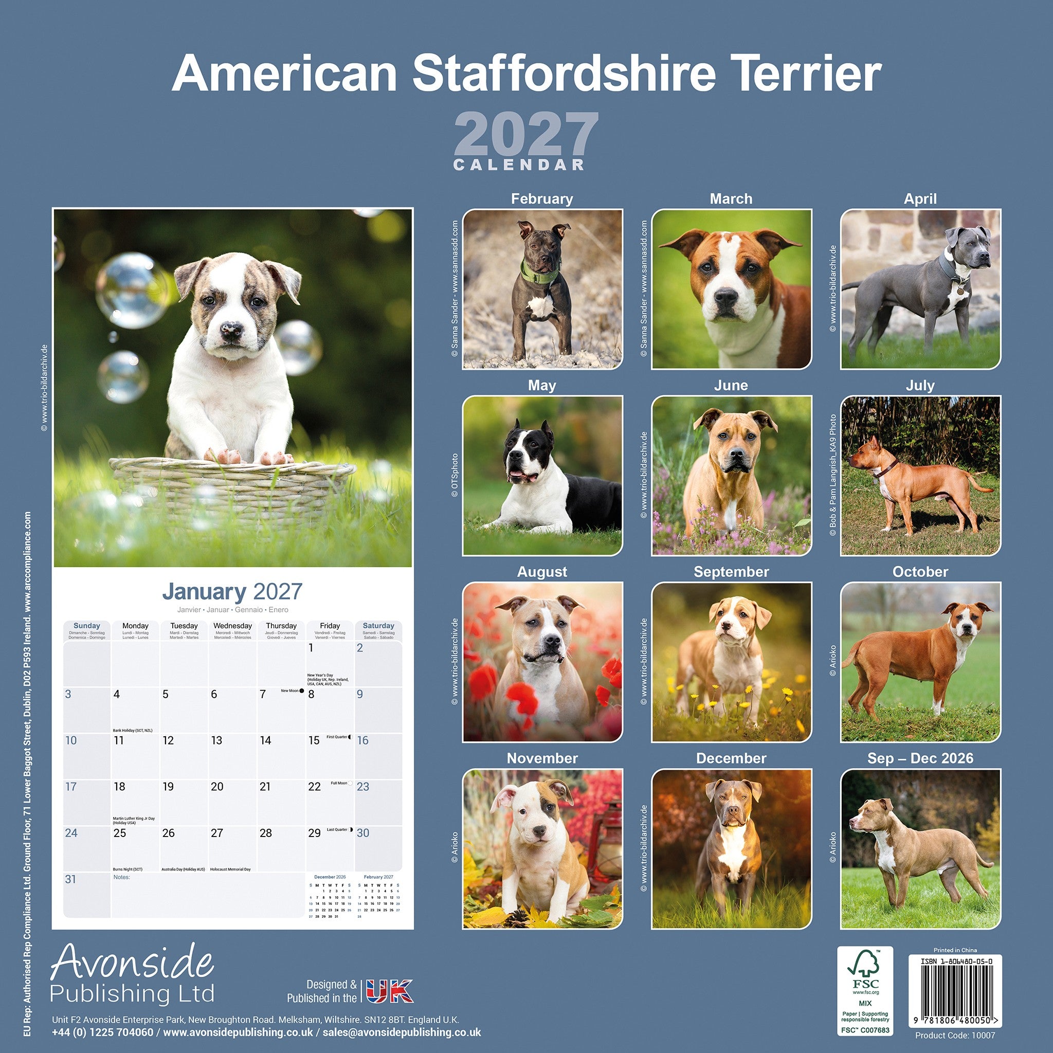 Calendrier mural American Staffordshire Terrier 2027 – En ligne seulement