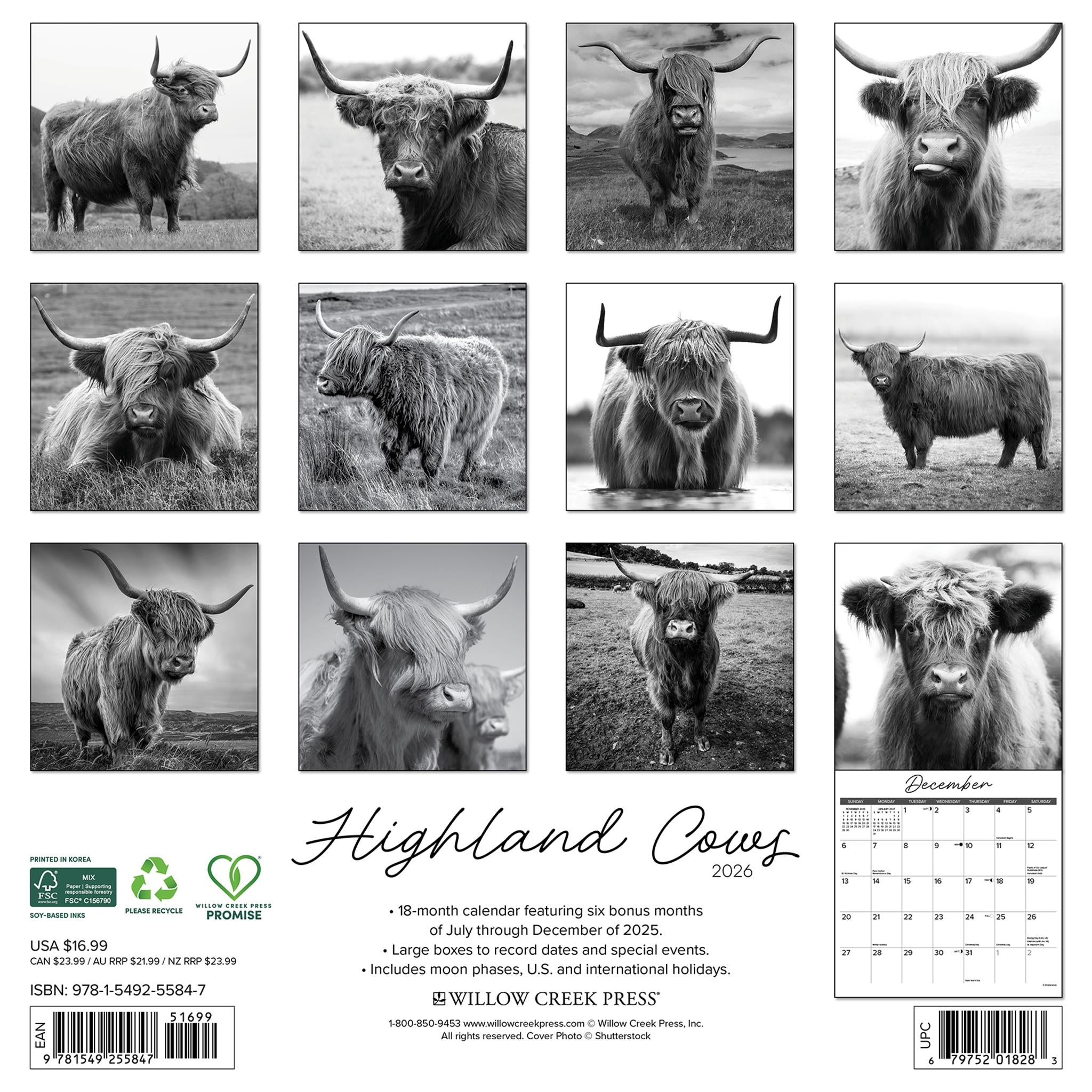 Calendrier mural 2026 des vaches des Highlands en noir et blanc