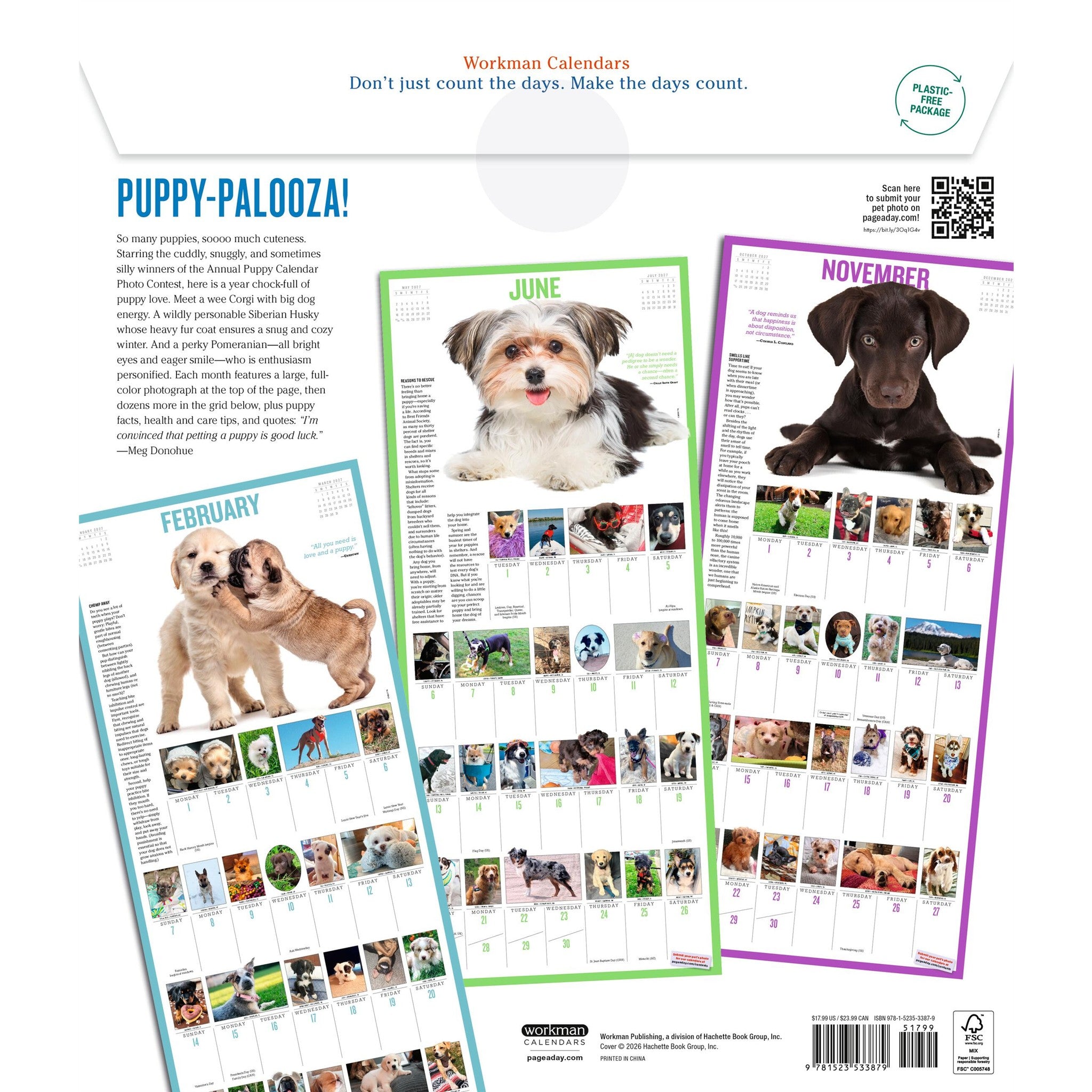 Calendrier mural 365 chiots par an 2027