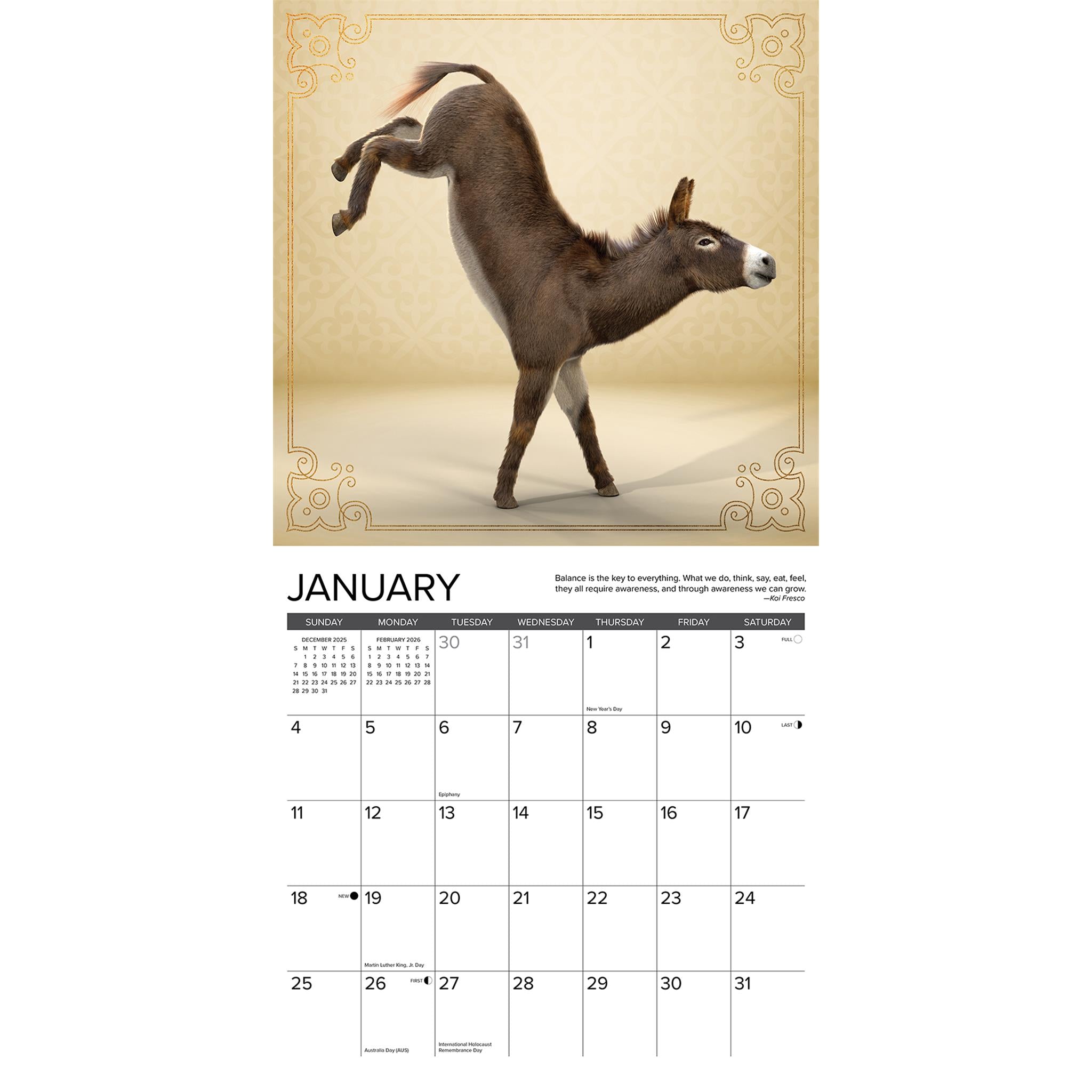 Jackass Yoga 2026 Wall Calendar