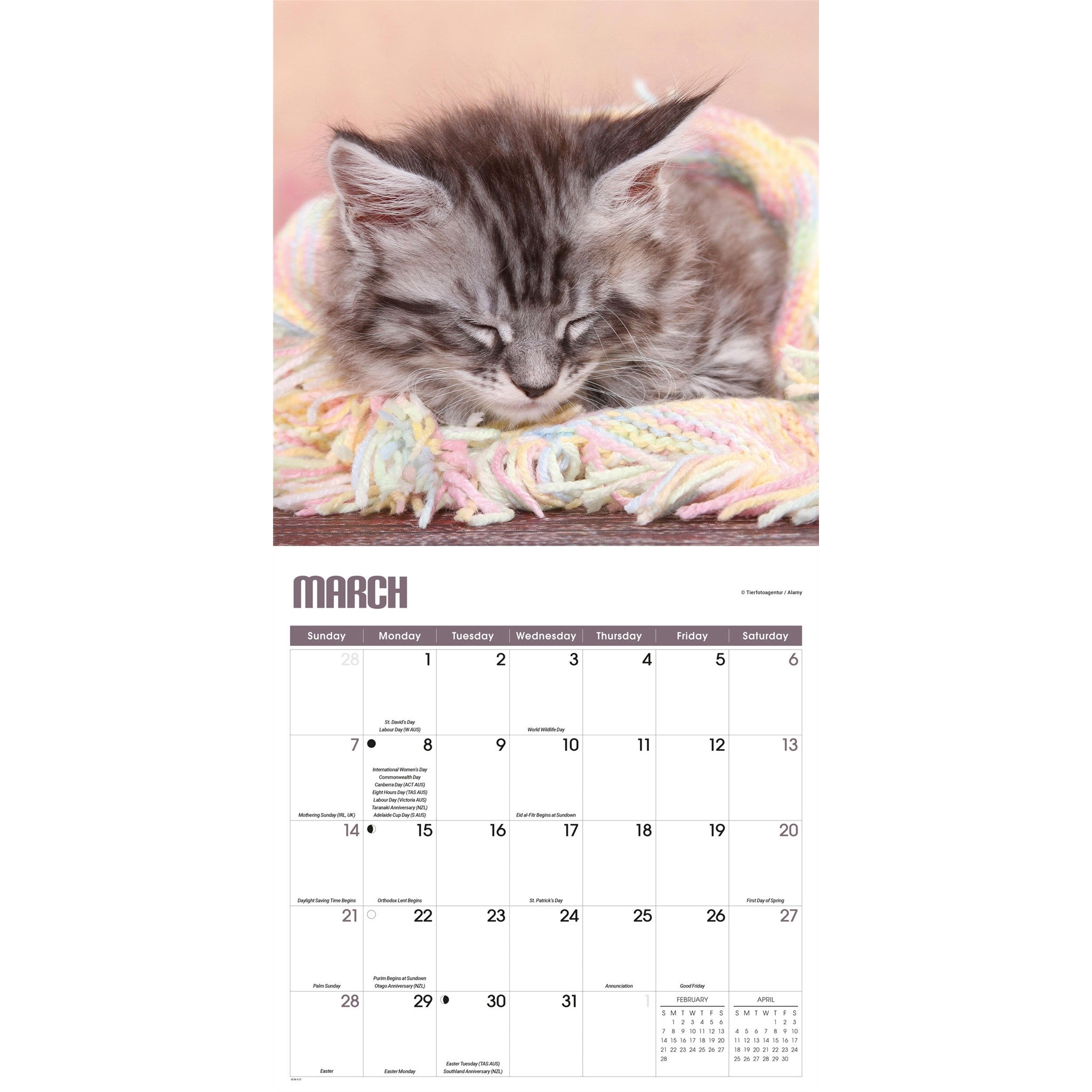 Calendrier mural 2027 : Siestes de chatons